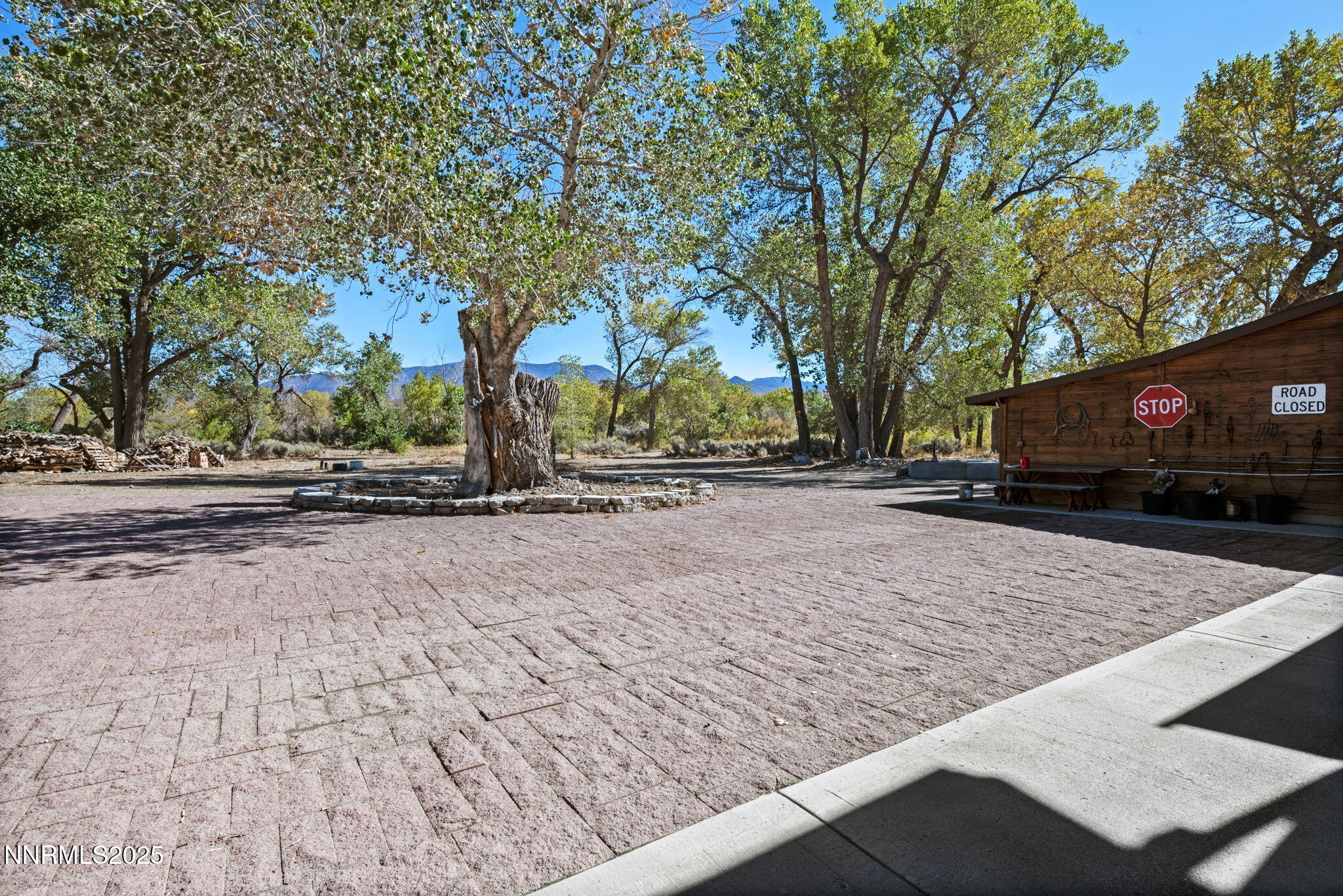 72-web-or-mls-DSC_1069