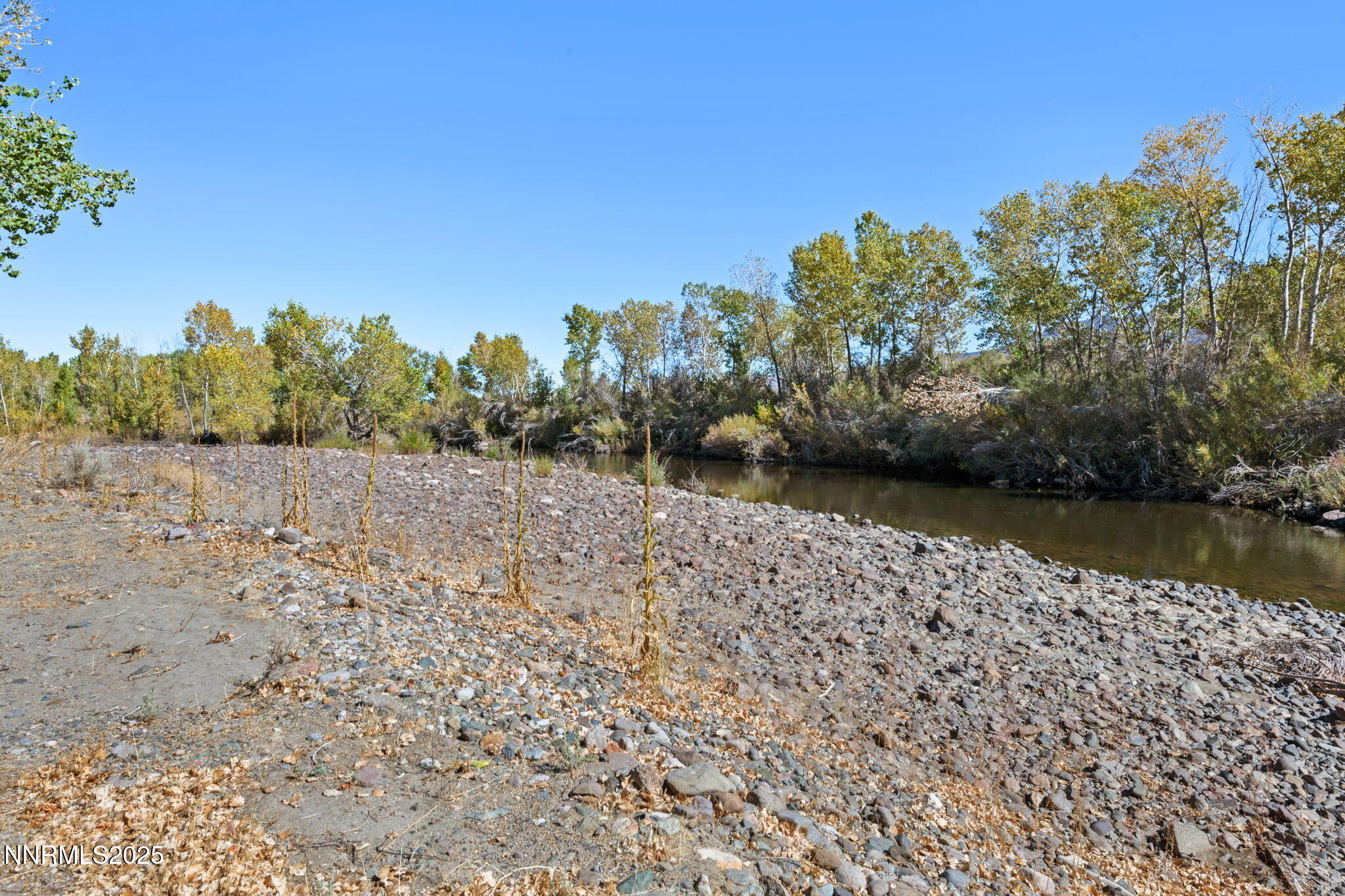 69-web-or-mls-DSC_1029