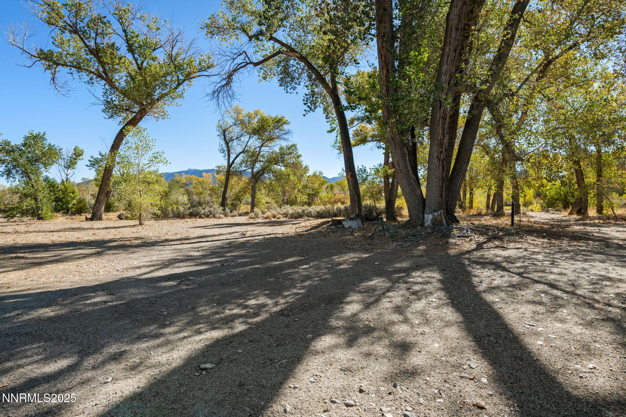 66-web-or-mls-DSC_0579