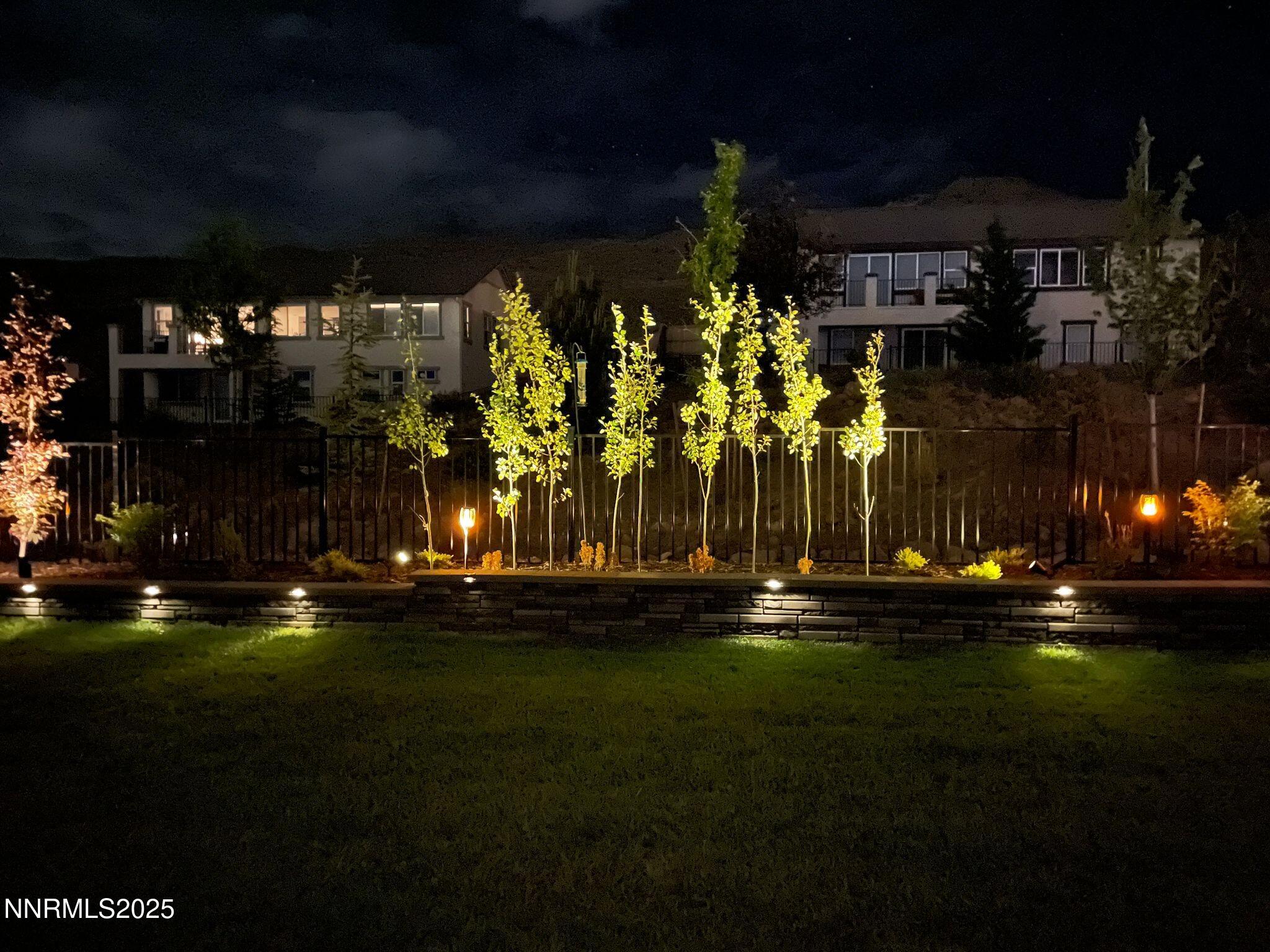 Trees night Lights 1