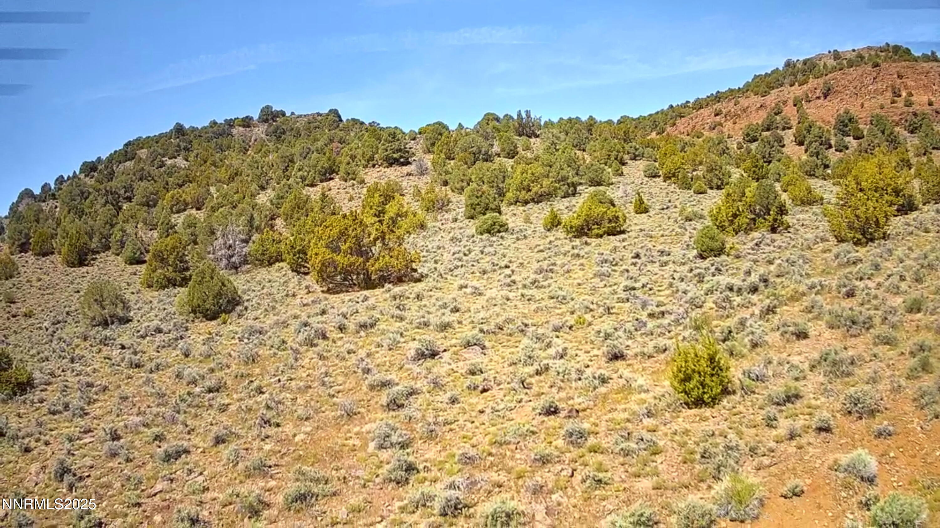 IMG_20250518_1154006