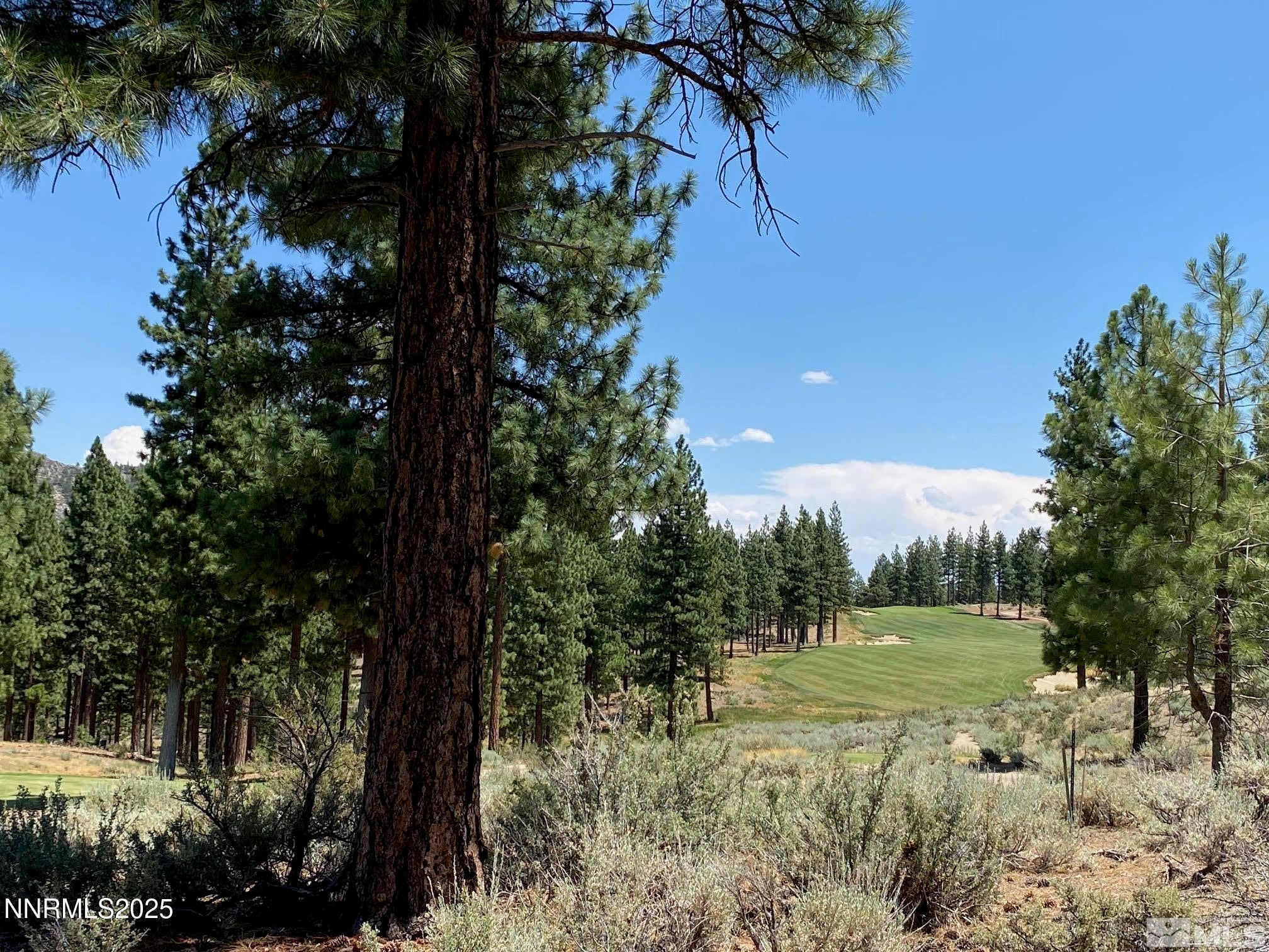 141 Walton Toll Road 264 Carson City NV 89705