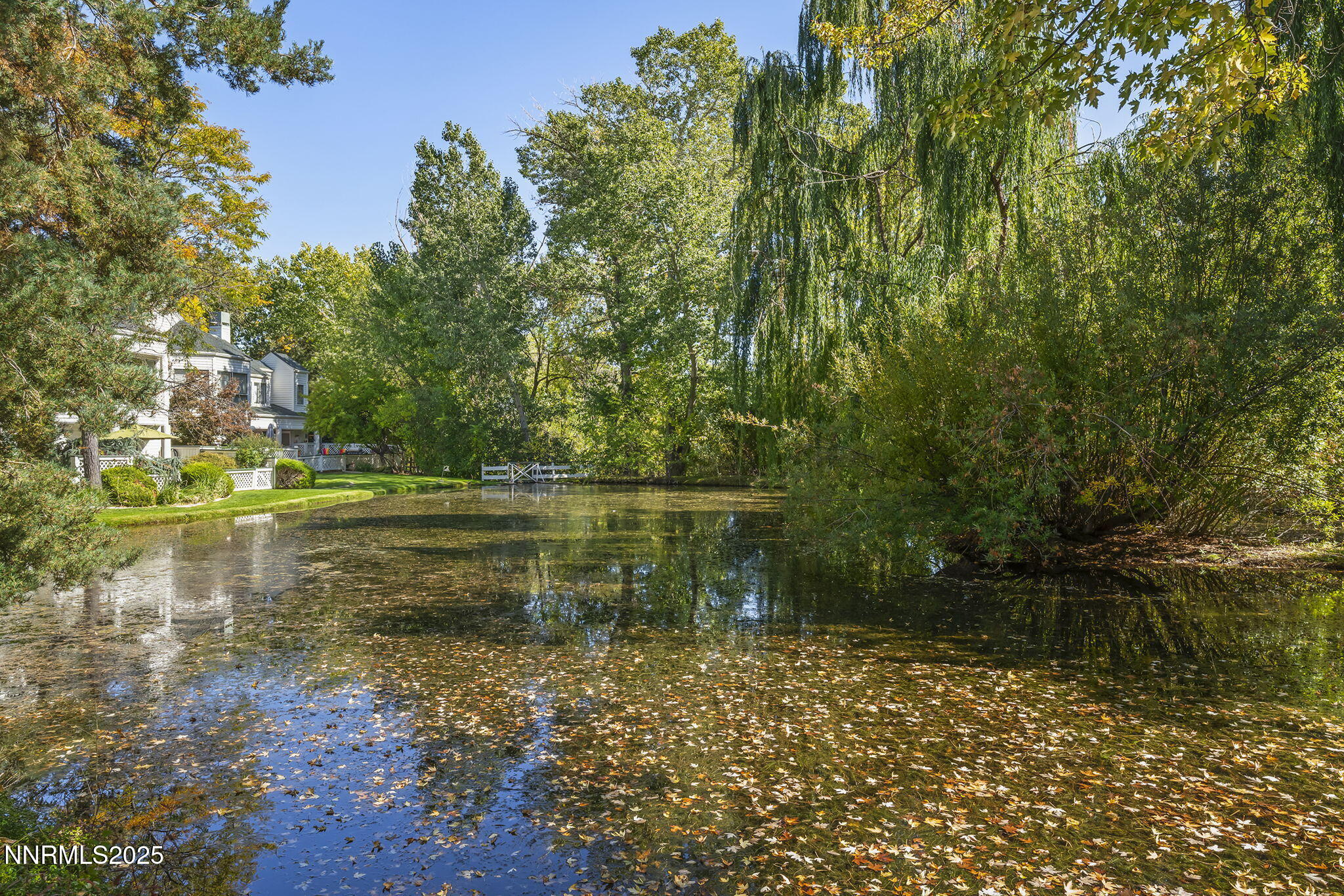 40-web-or-mls-_DSC3344