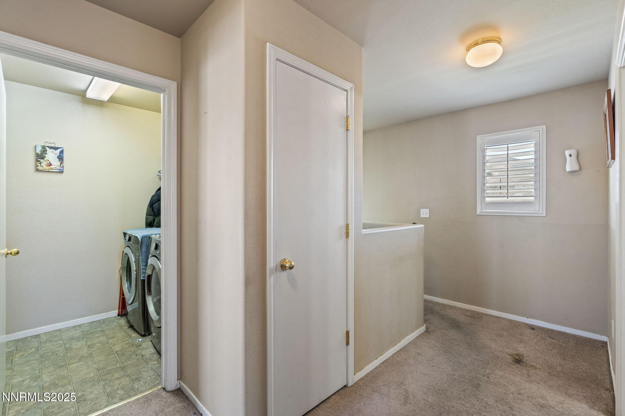 23-web-or-mls-DSC09770