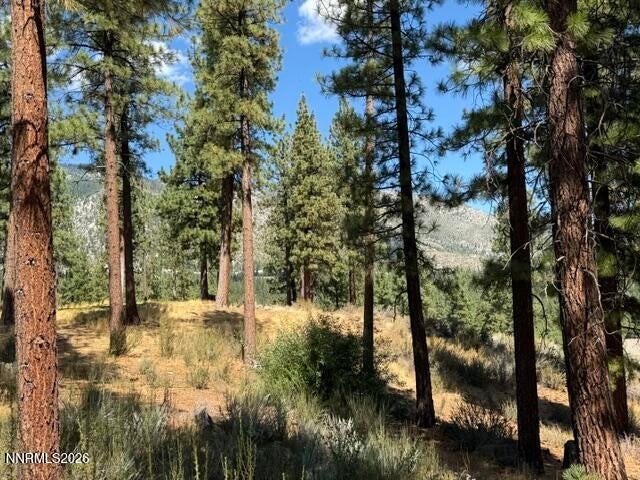 3288 Summit Camp Way C20