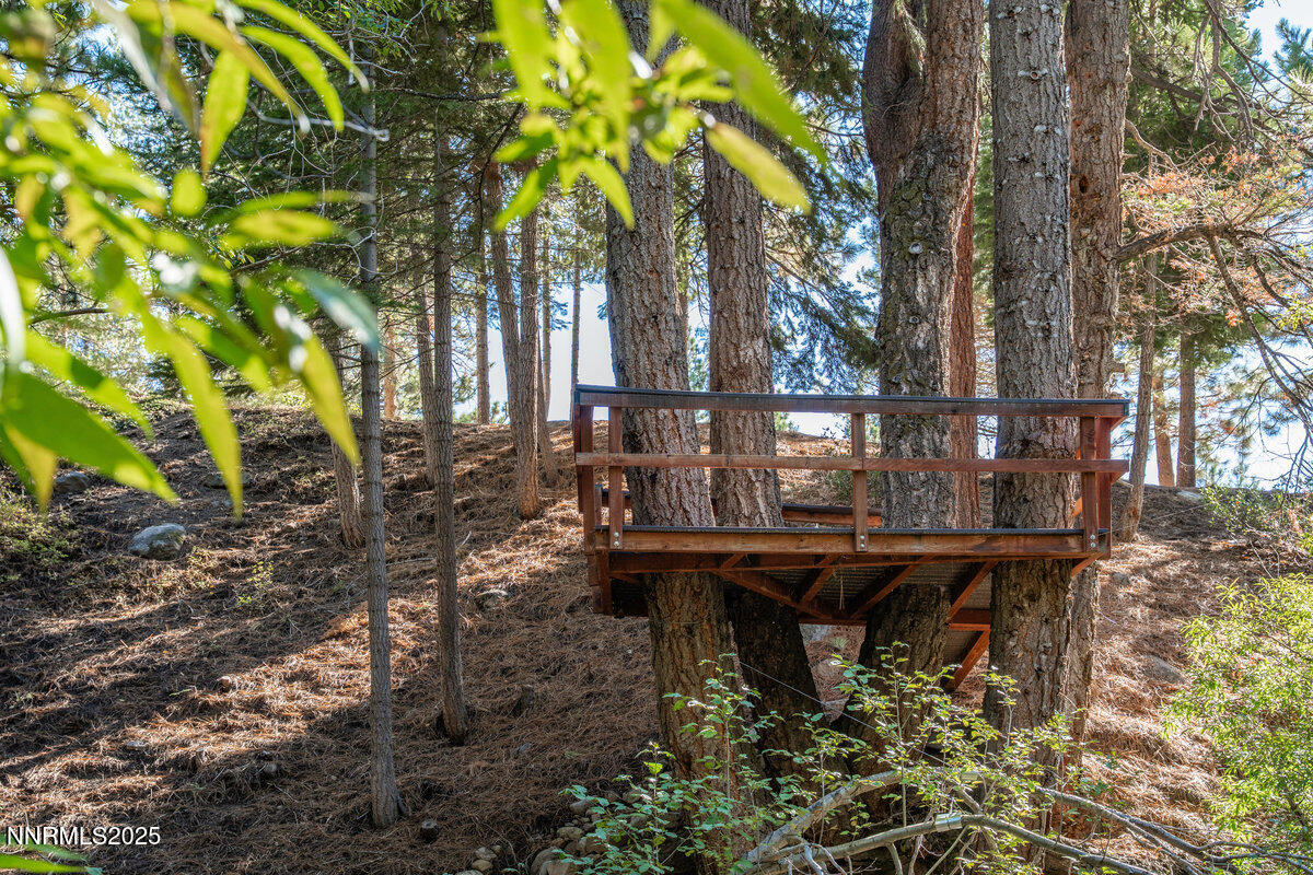 062_951_divot_ct-62_110