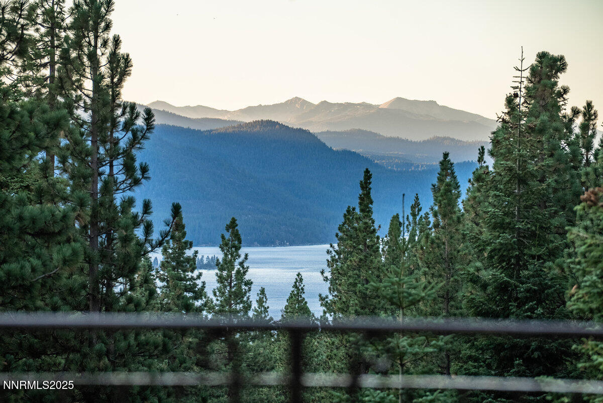 019_951_divot_ct-19_81