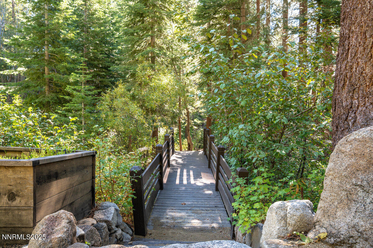 065_951_divot_ct-65_99