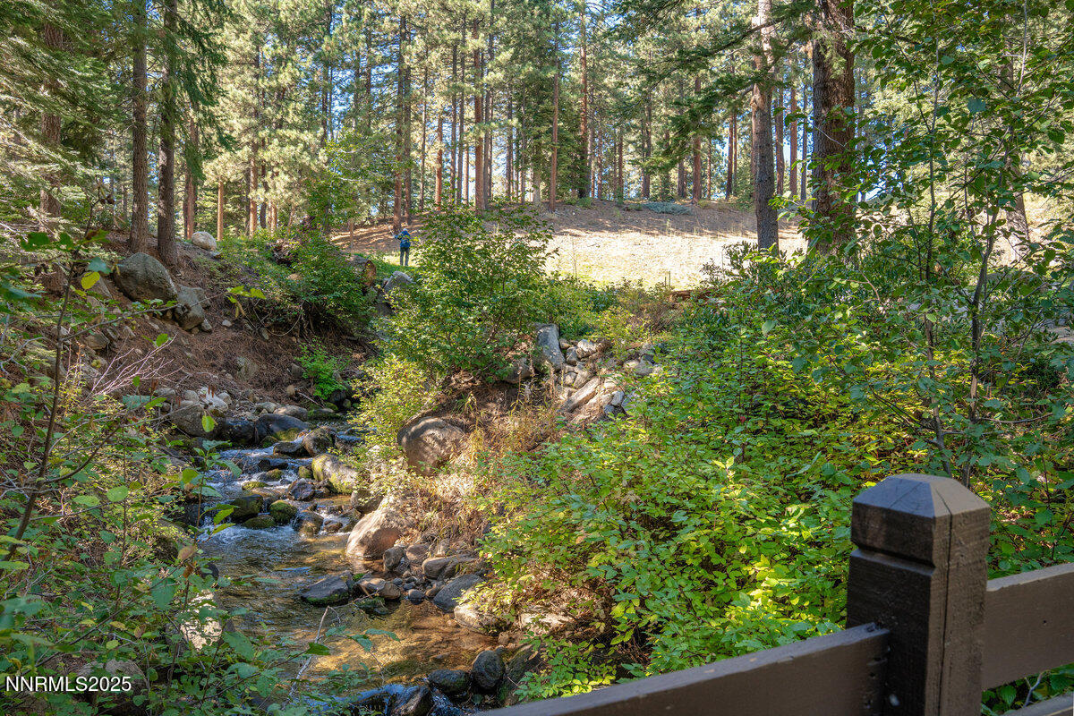 059_951_divot_ct-59_770