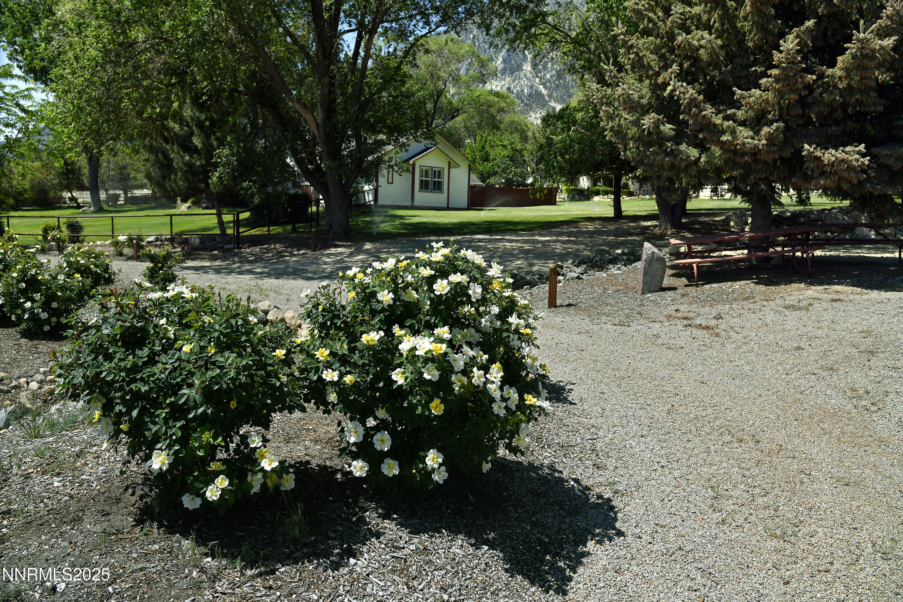 26 rose garden