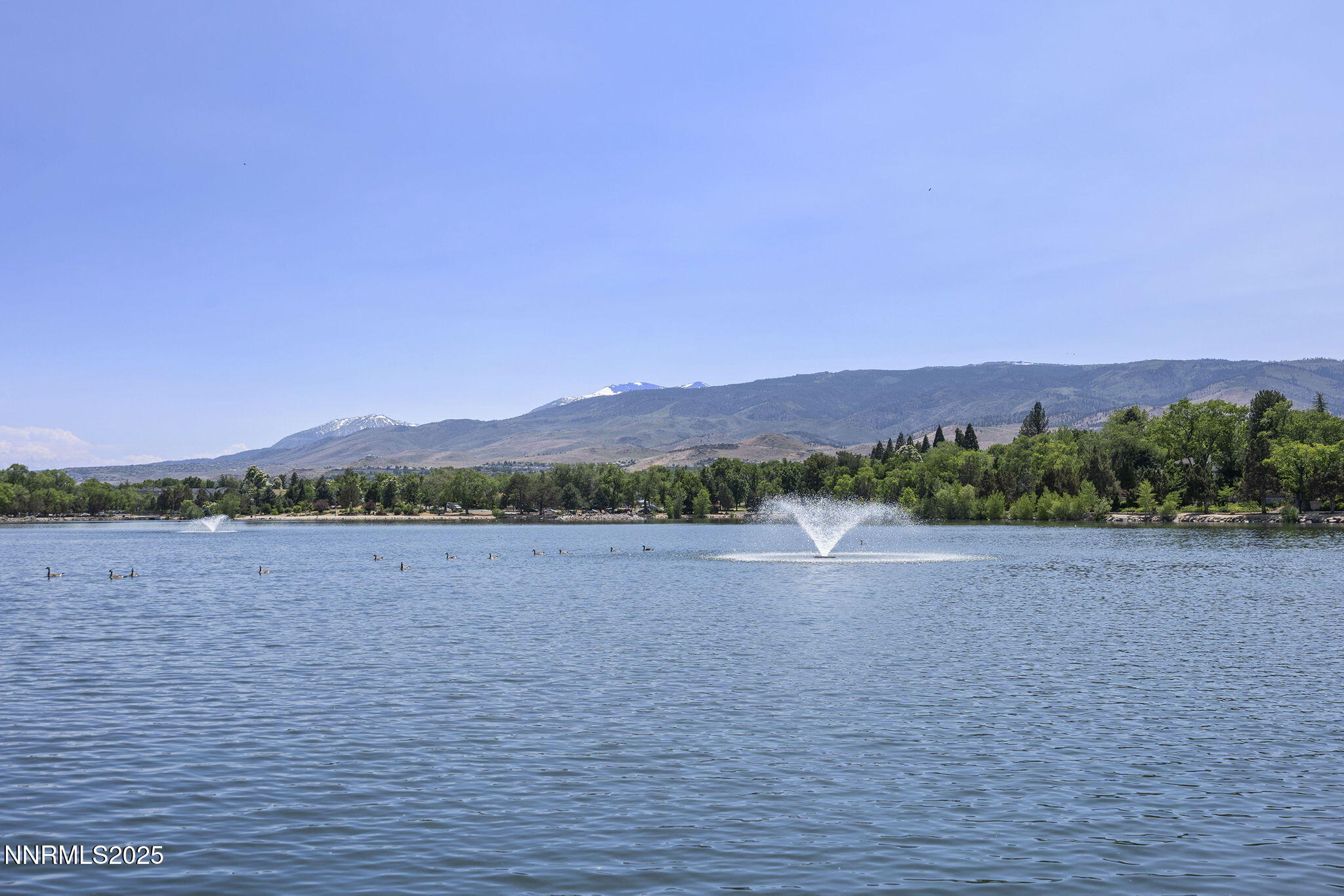 30-web-or-mls-_DSC0308