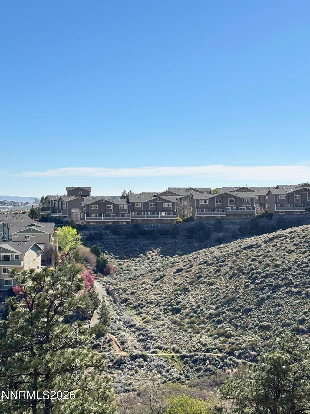 Photo of 4299 Amber Marie Lane, Reno, NV 89503 (MLS # 260003665)