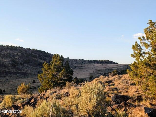 20250701061222839730000000-o