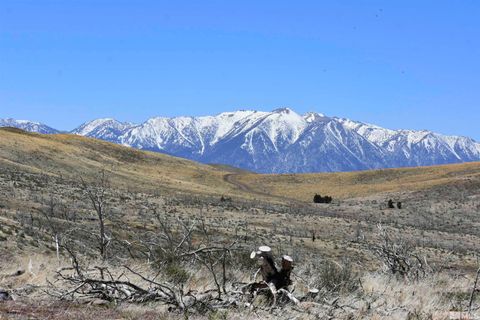 TBD parcels at Pine Nut Creek area Gardnerville NV 89410