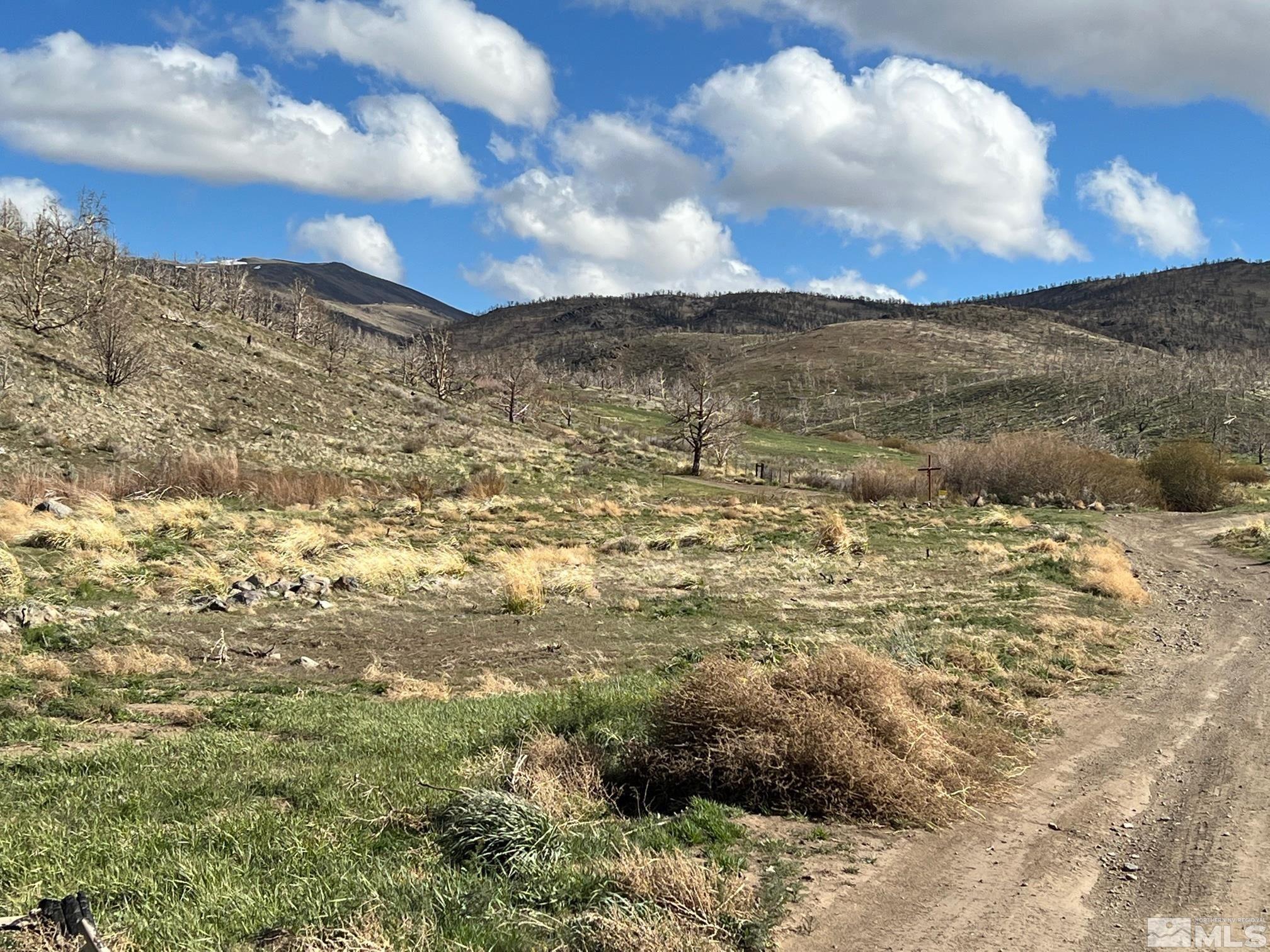 TBD parcels at Pine Nut Creek area