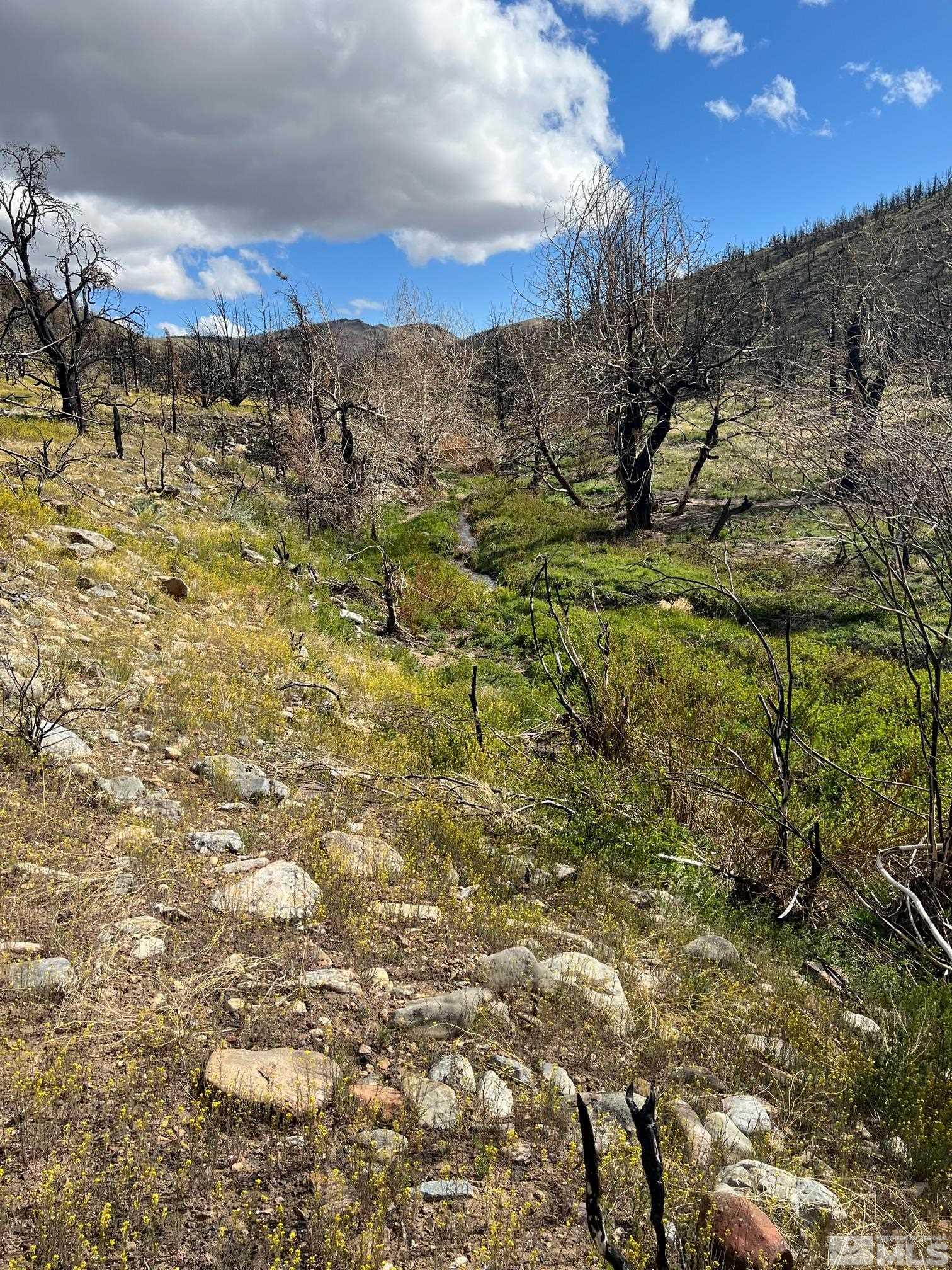 TBD parcels at Pine Nut Creek area