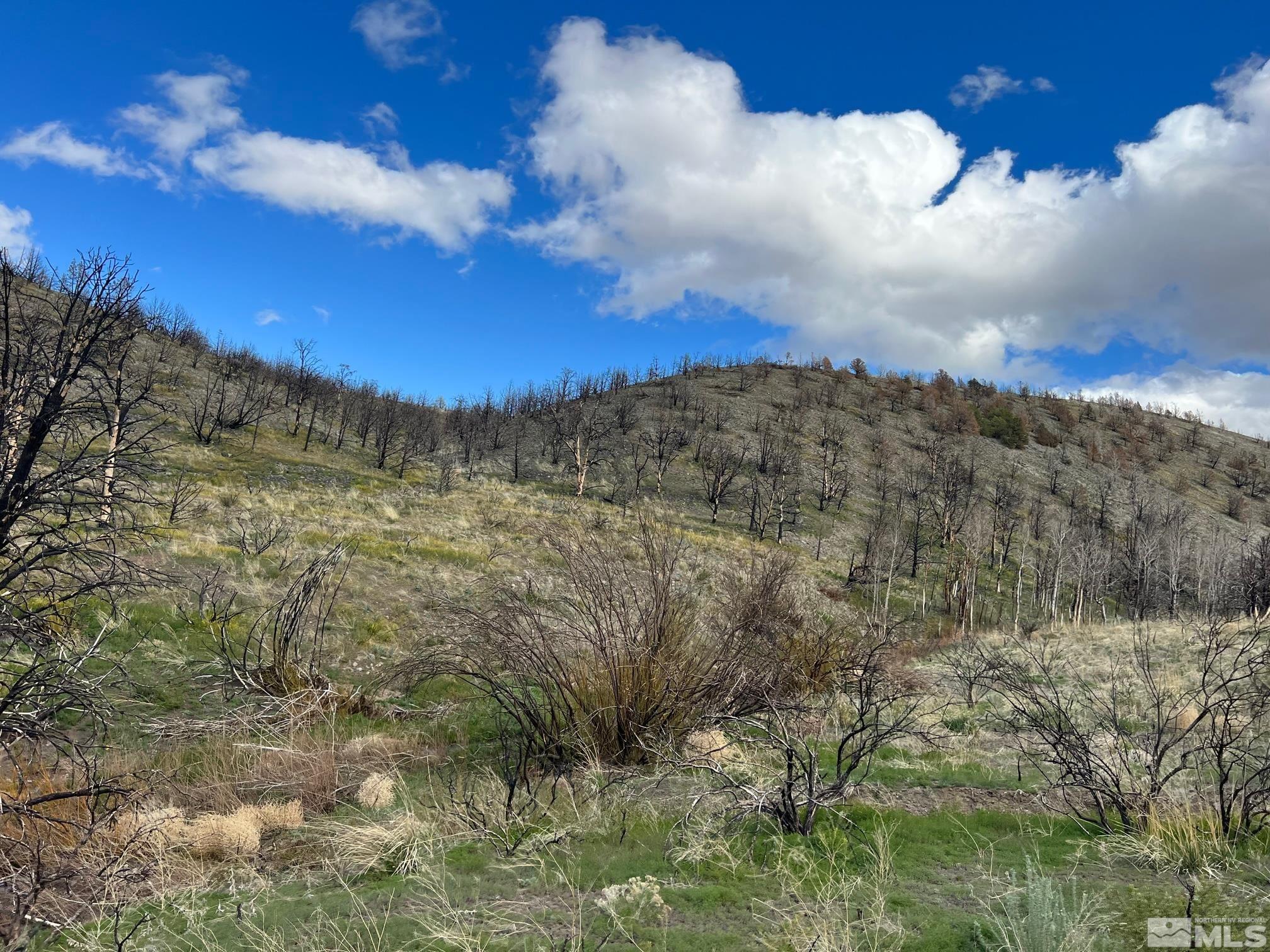 TBD parcels at Pine Nut Creek area