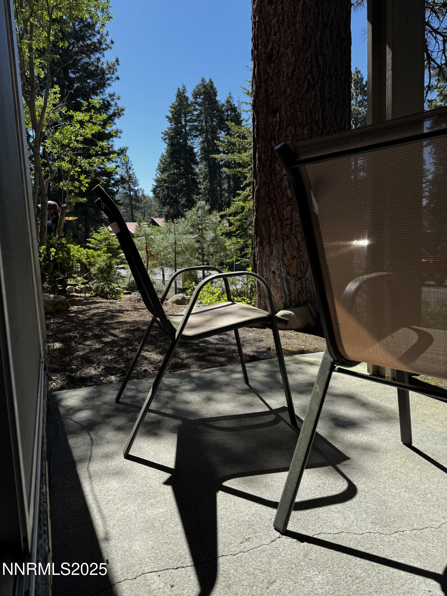 810AlderAve_56166_17