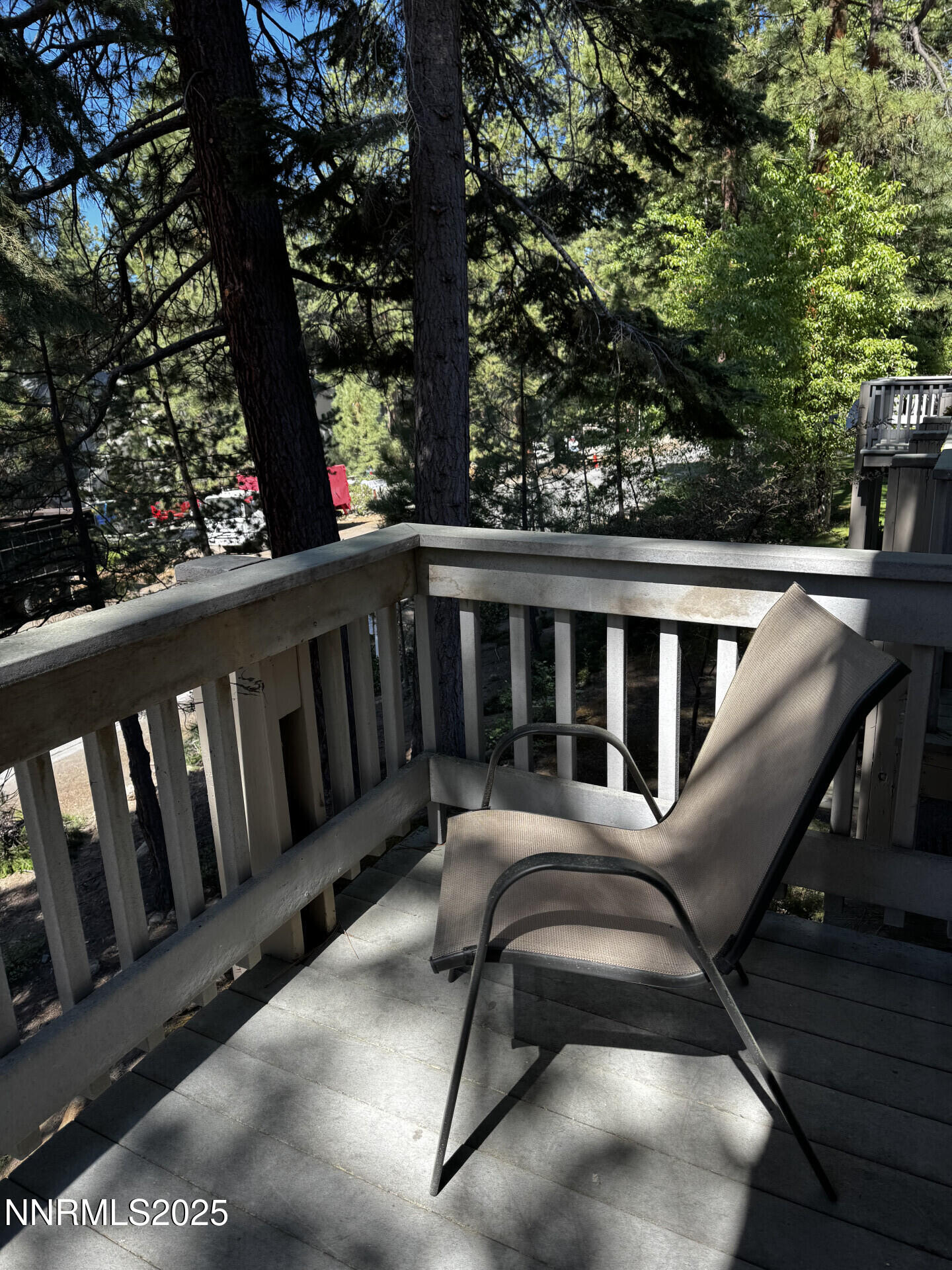 810AlderAve_56166_18