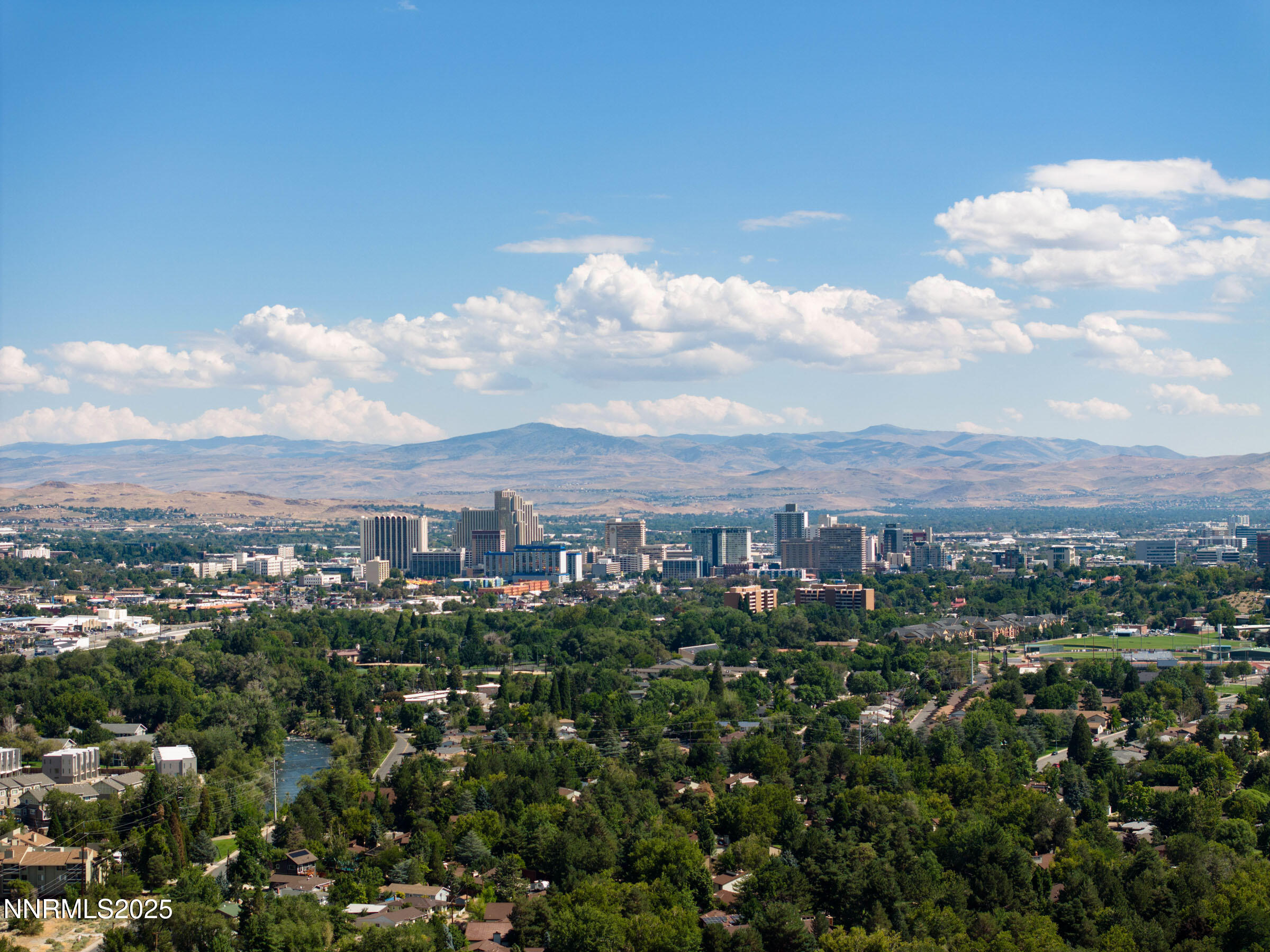 029_4060_goodsell-29