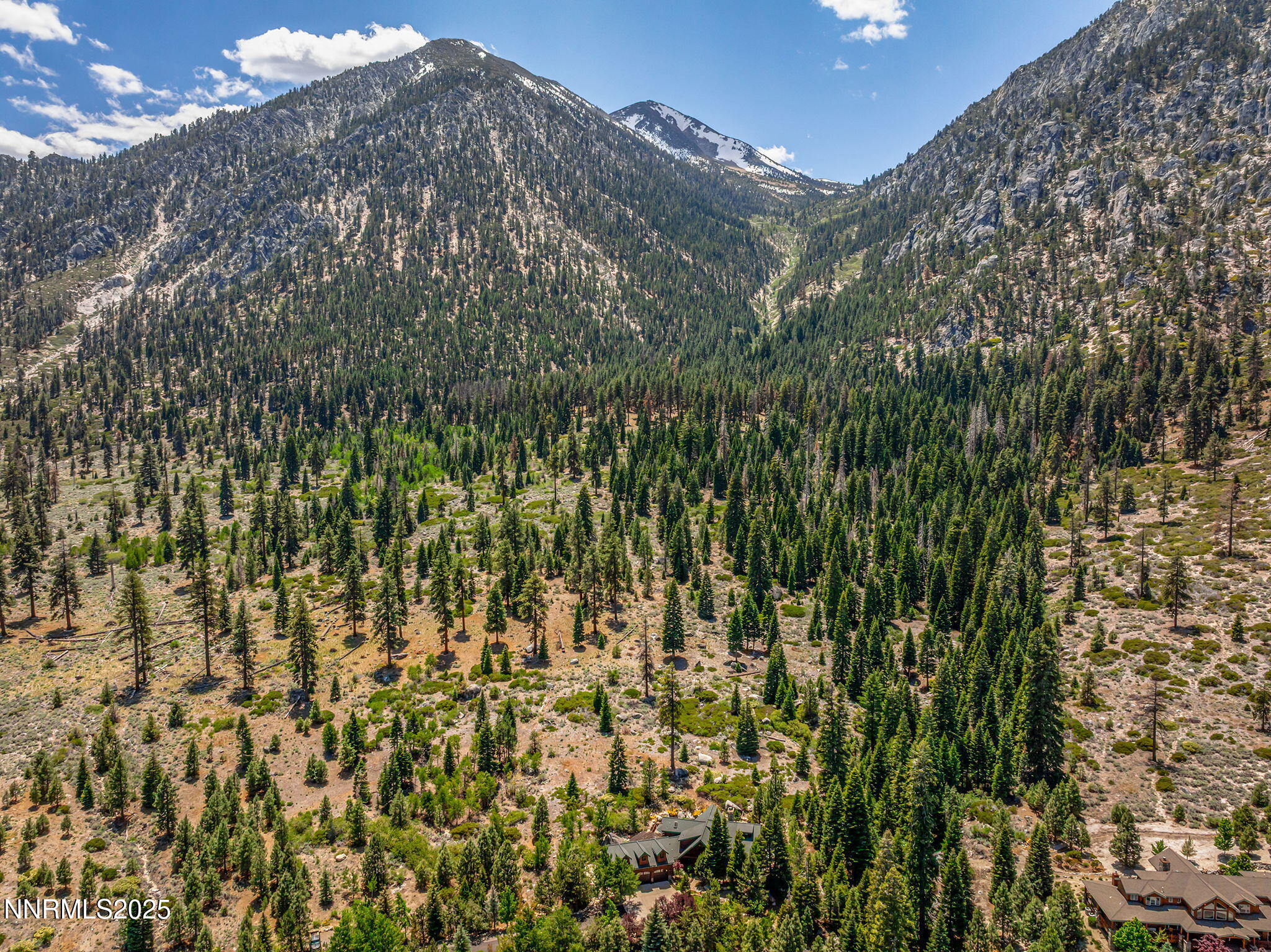 54-web-or-mls-DJI_20250603130801_0267_D