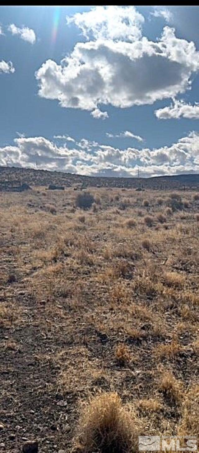 Fernley, Nevada 89408, United States, ,Land,Active,80365