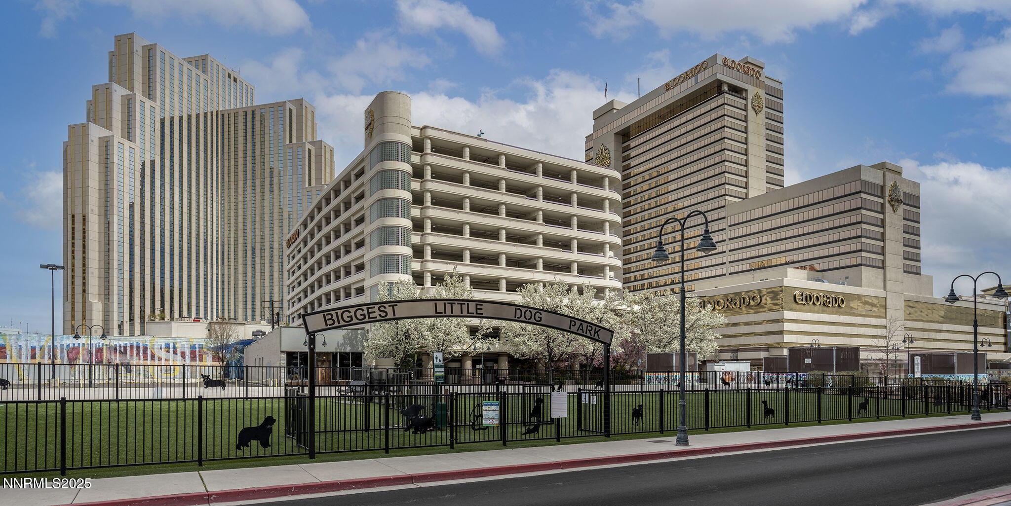 50-web-or-mls-40-print-_DSC3542