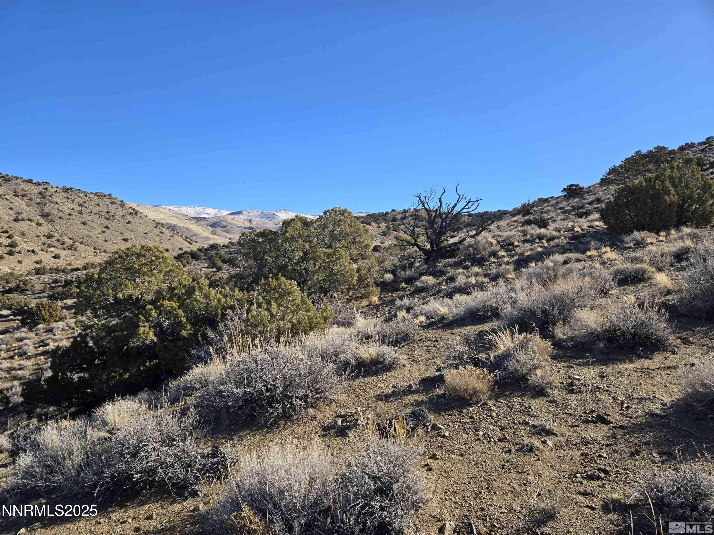 5150 Twin Springs 11