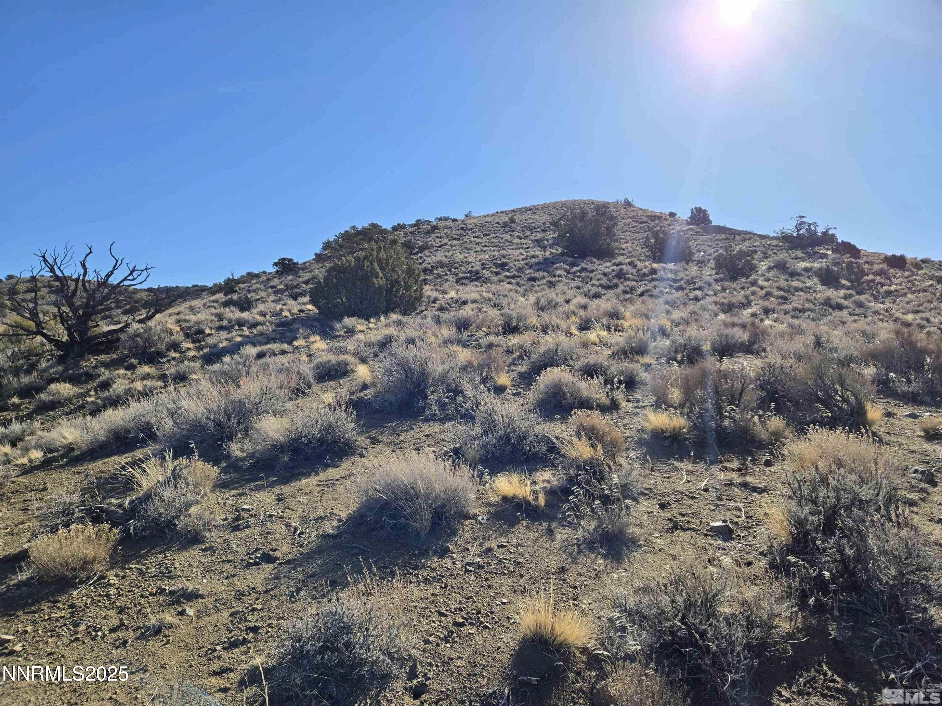 5150 Twin Springs 14