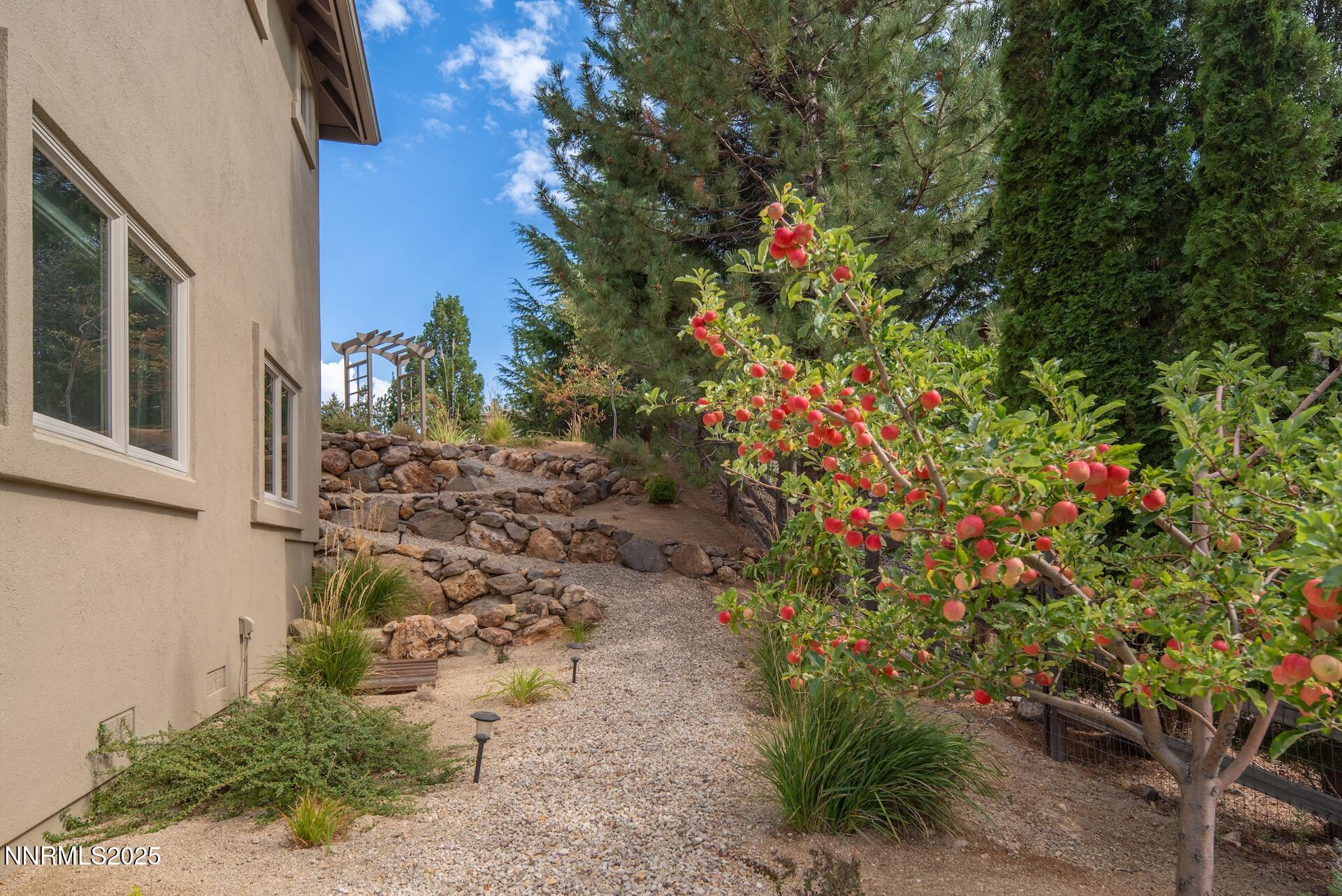 4905Mountainshyre 54