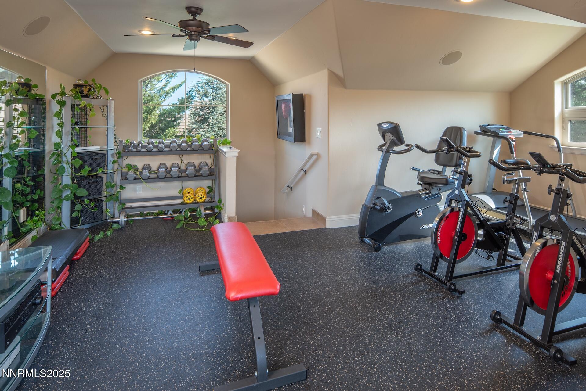 4905Mountainshyre 40