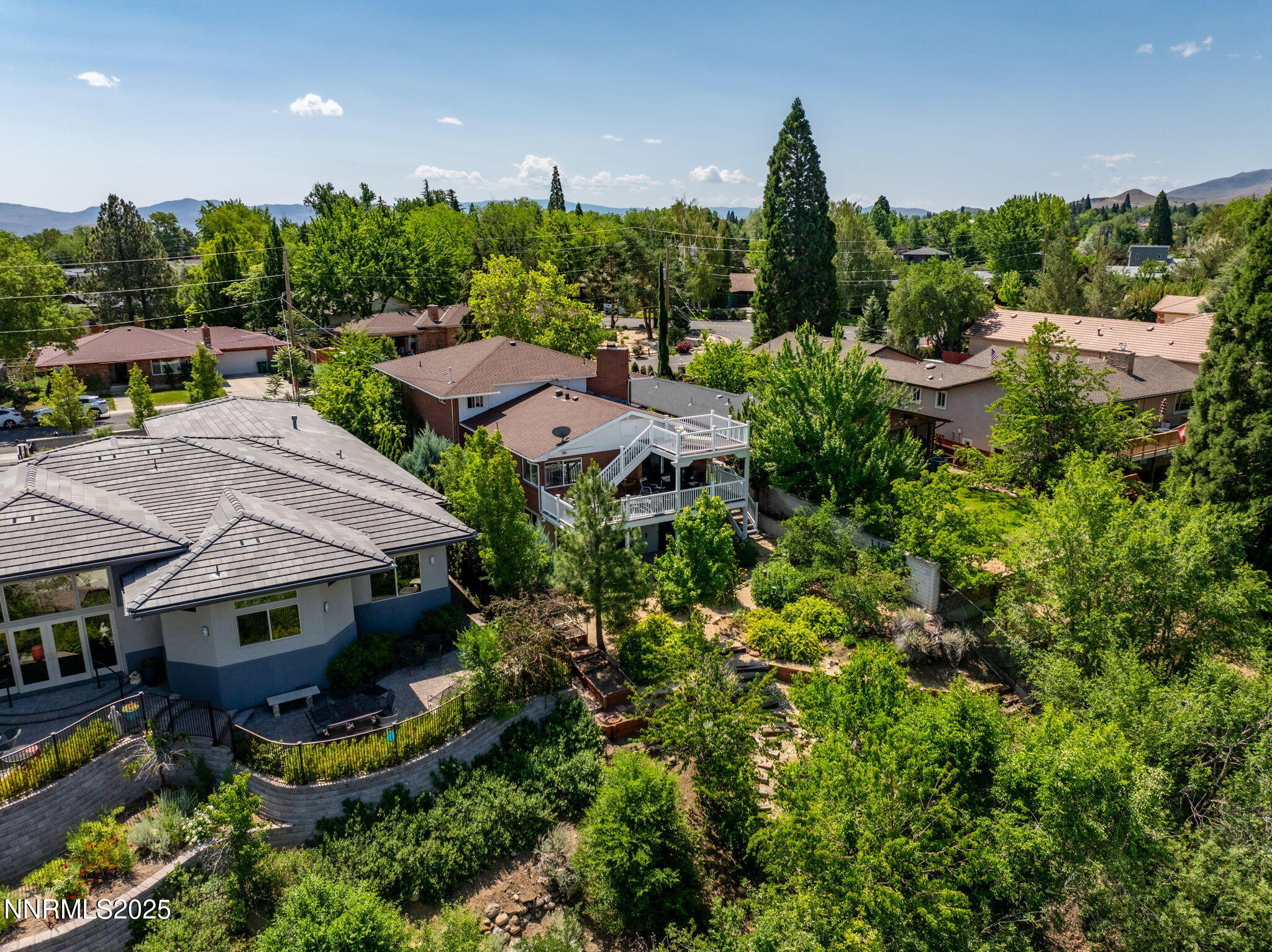 1-web-or-mls-1435 Palisade Drone-2