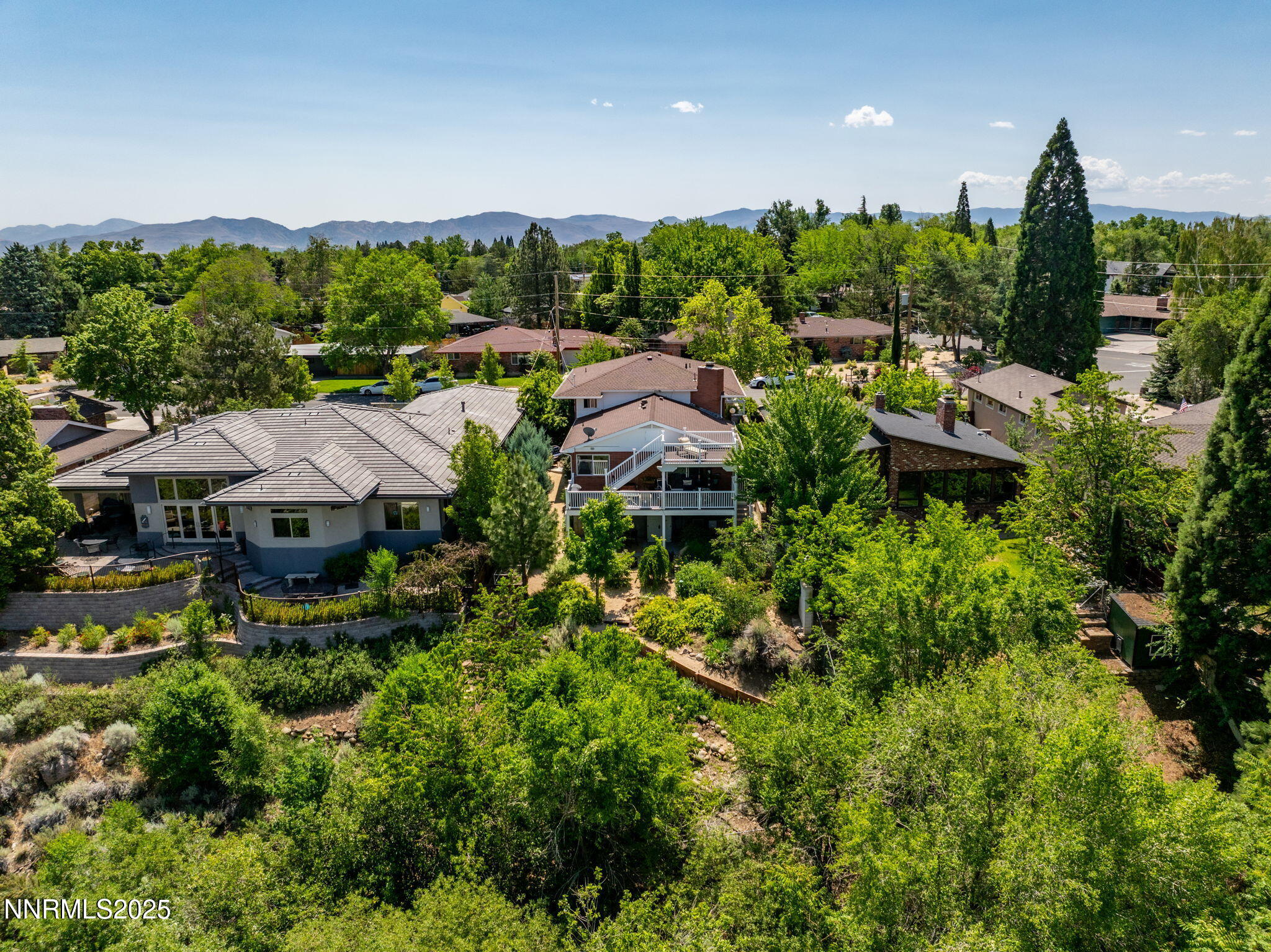 10-web-or-mls-1435 Palisade Drone