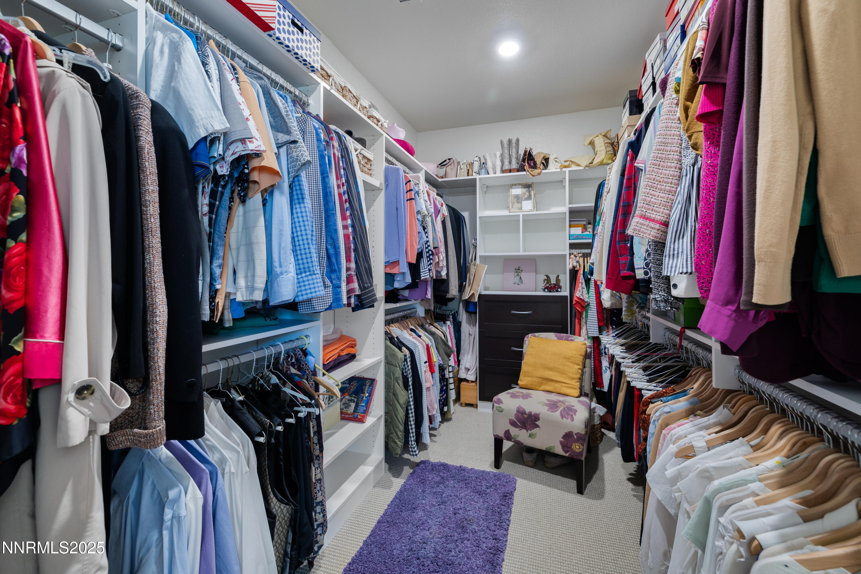 23-print-10260 Rollins-8