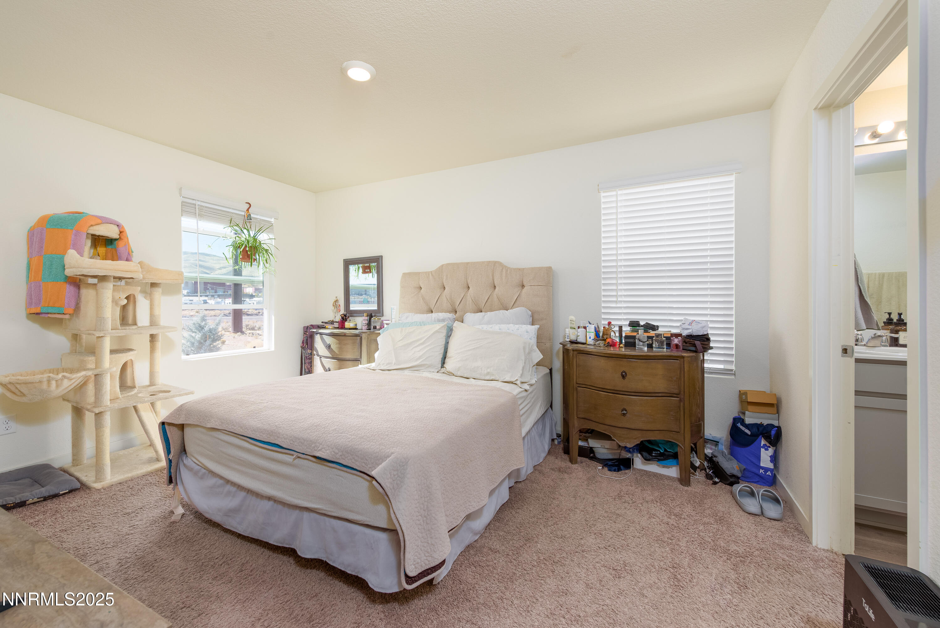 8838 Wolf Moon Dr-22