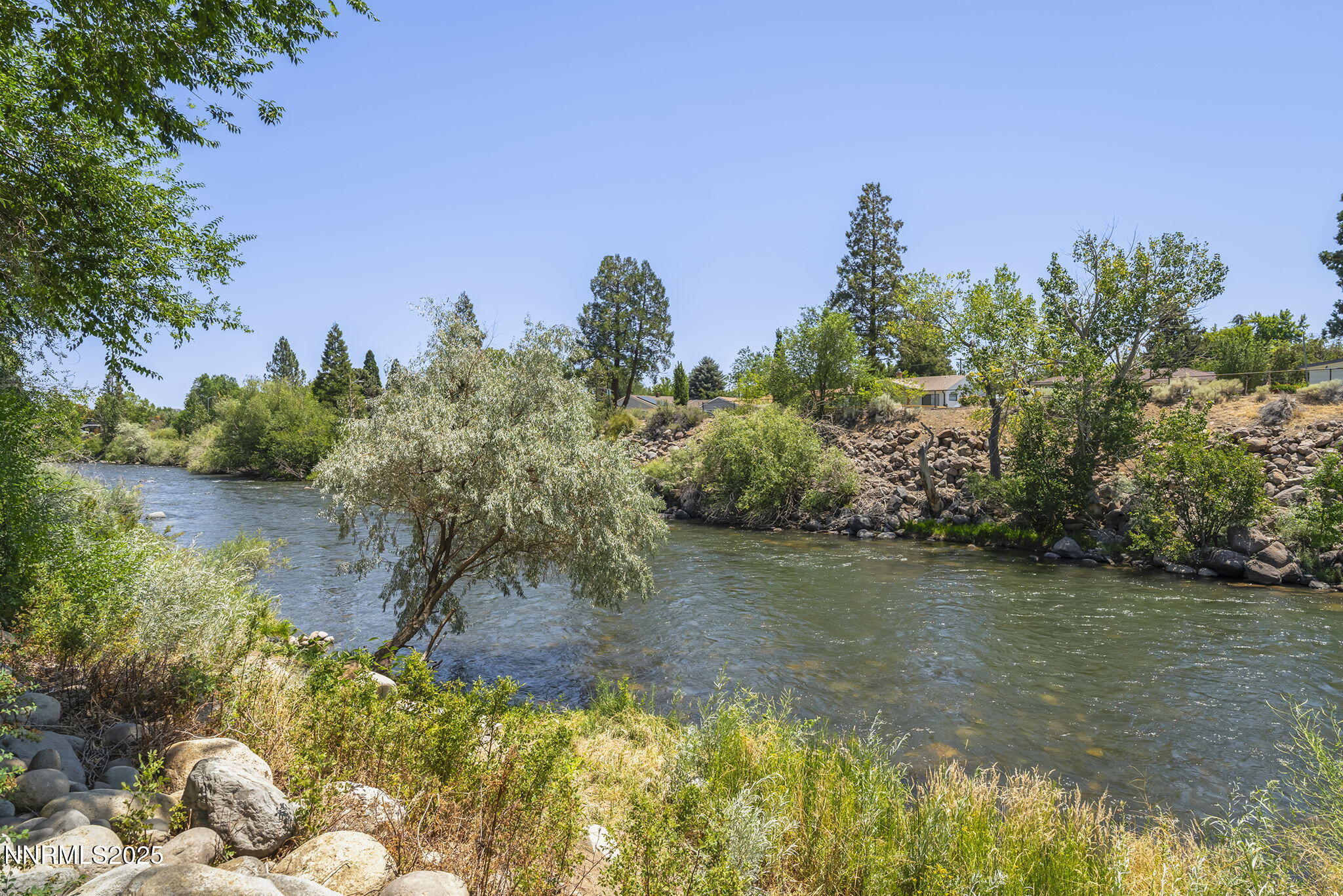 36-web-or-mls-_DSC7258