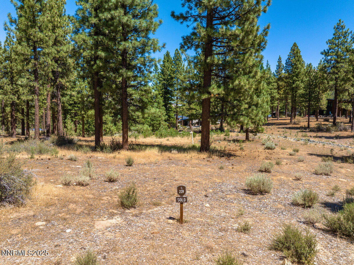 029_234_redding-29_678