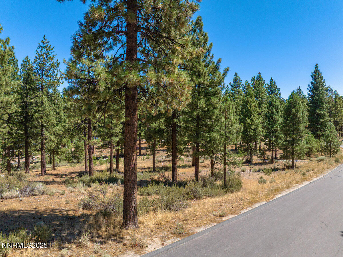 014_234_redding-14_399