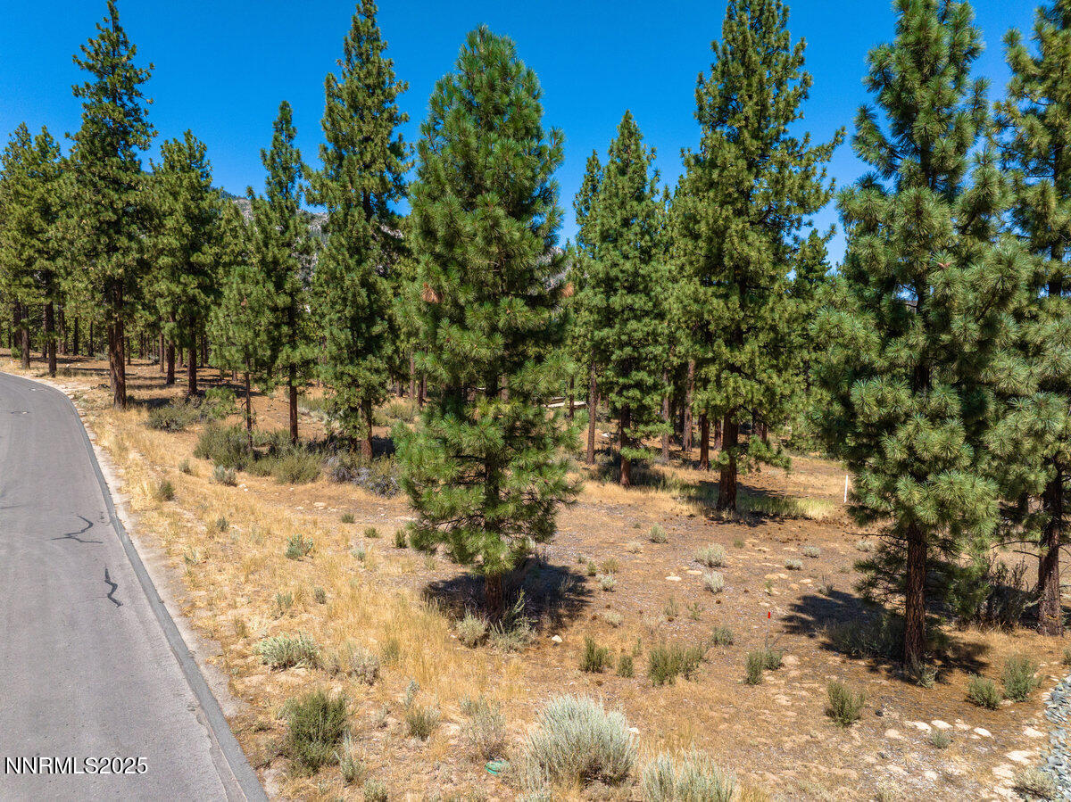 013_234_redding-13_638