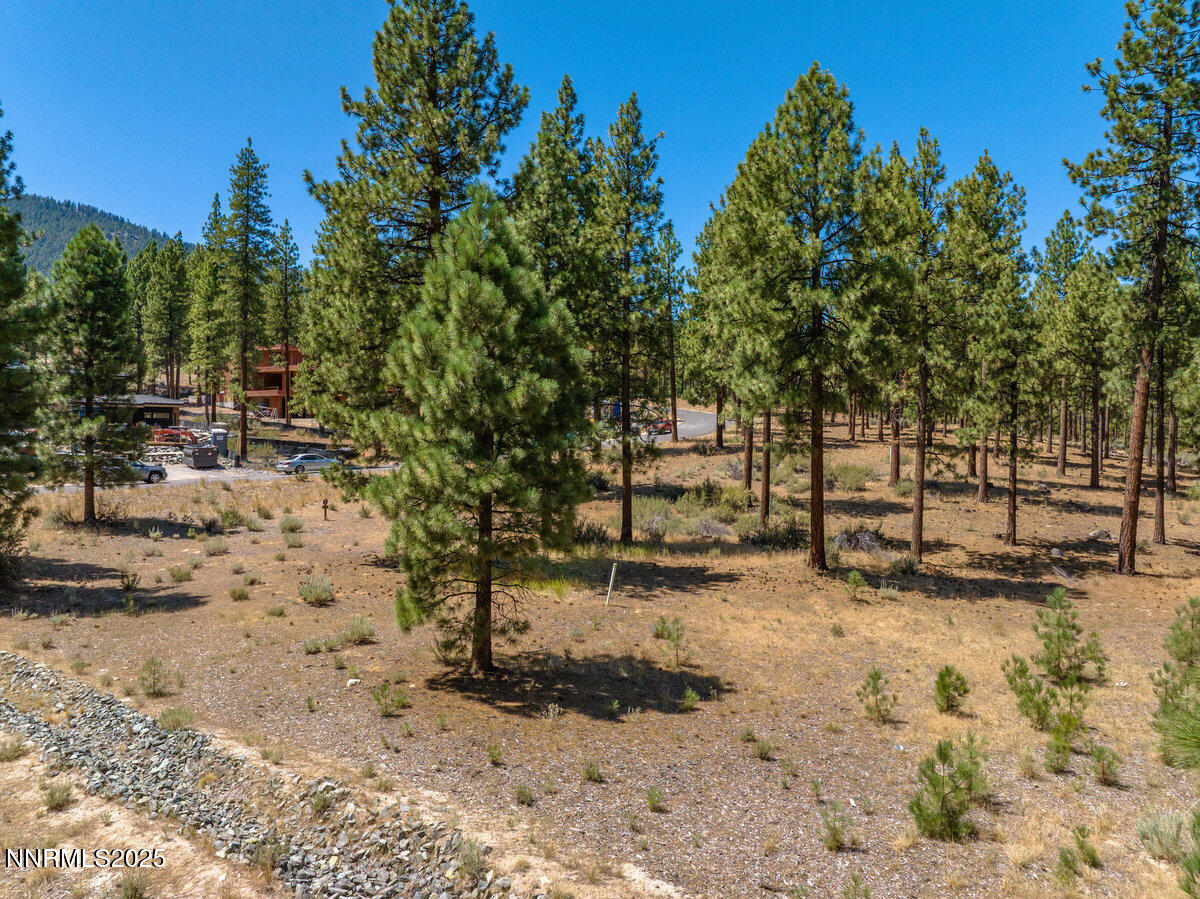 024_234_redding-24_392