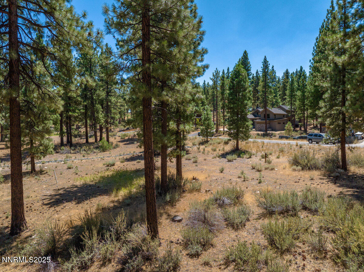 028_234_redding-28_274