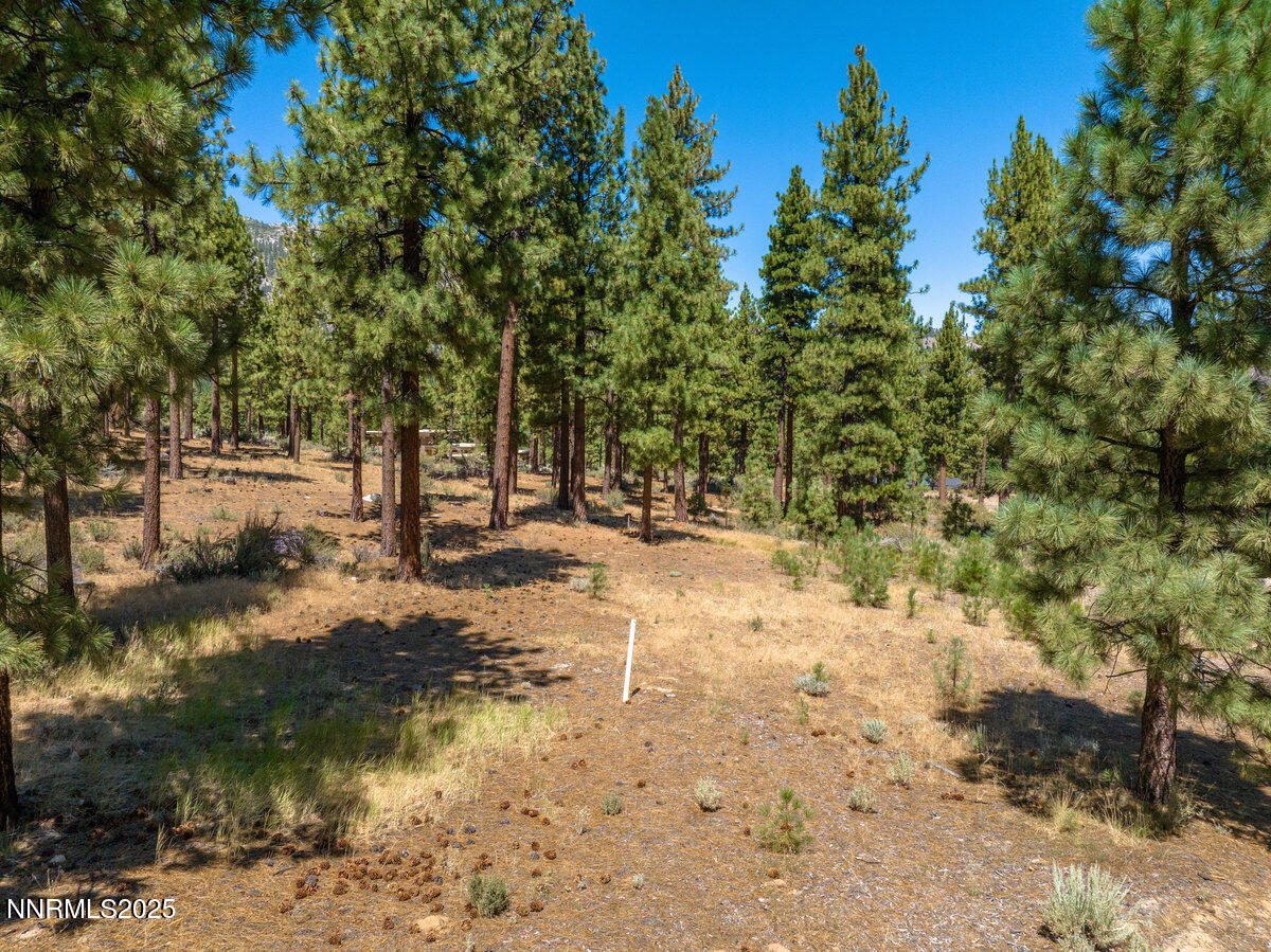 027_234_redding-27_262