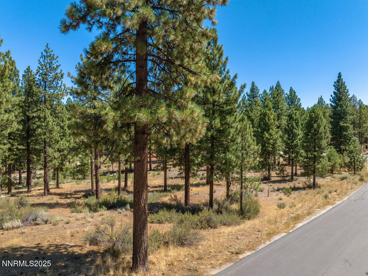 015_234_redding-15_243