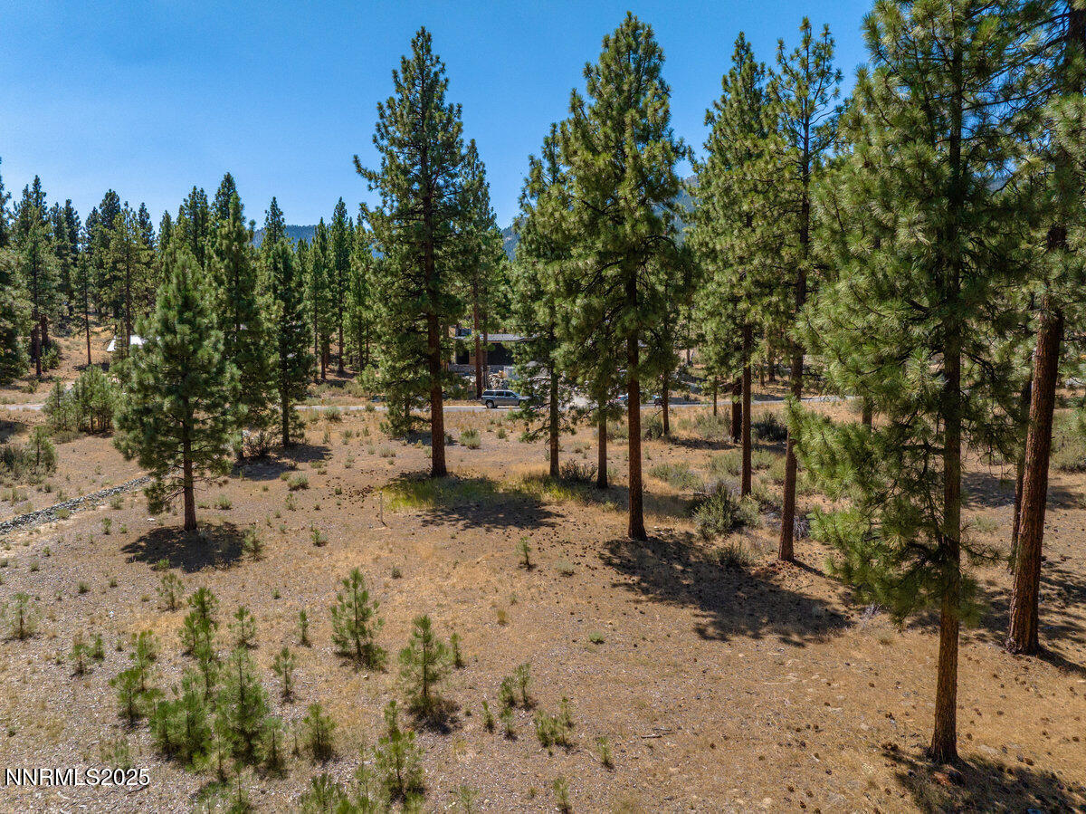 025_234_redding-25_107