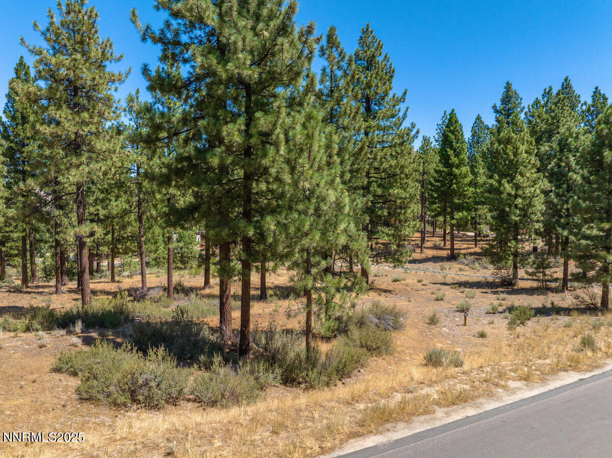 016_234_redding-16_846