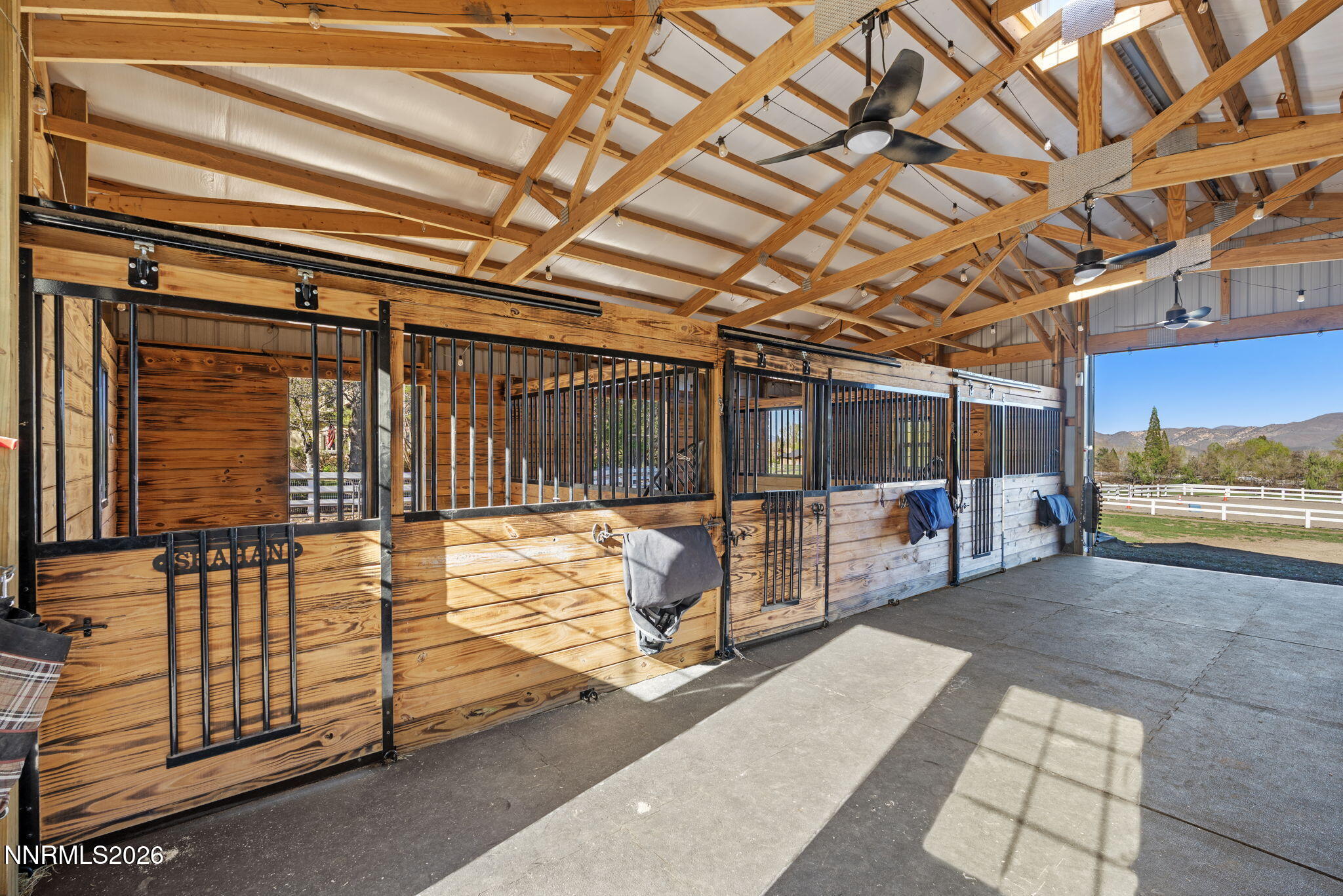 72-web-or-mls-DSC07771