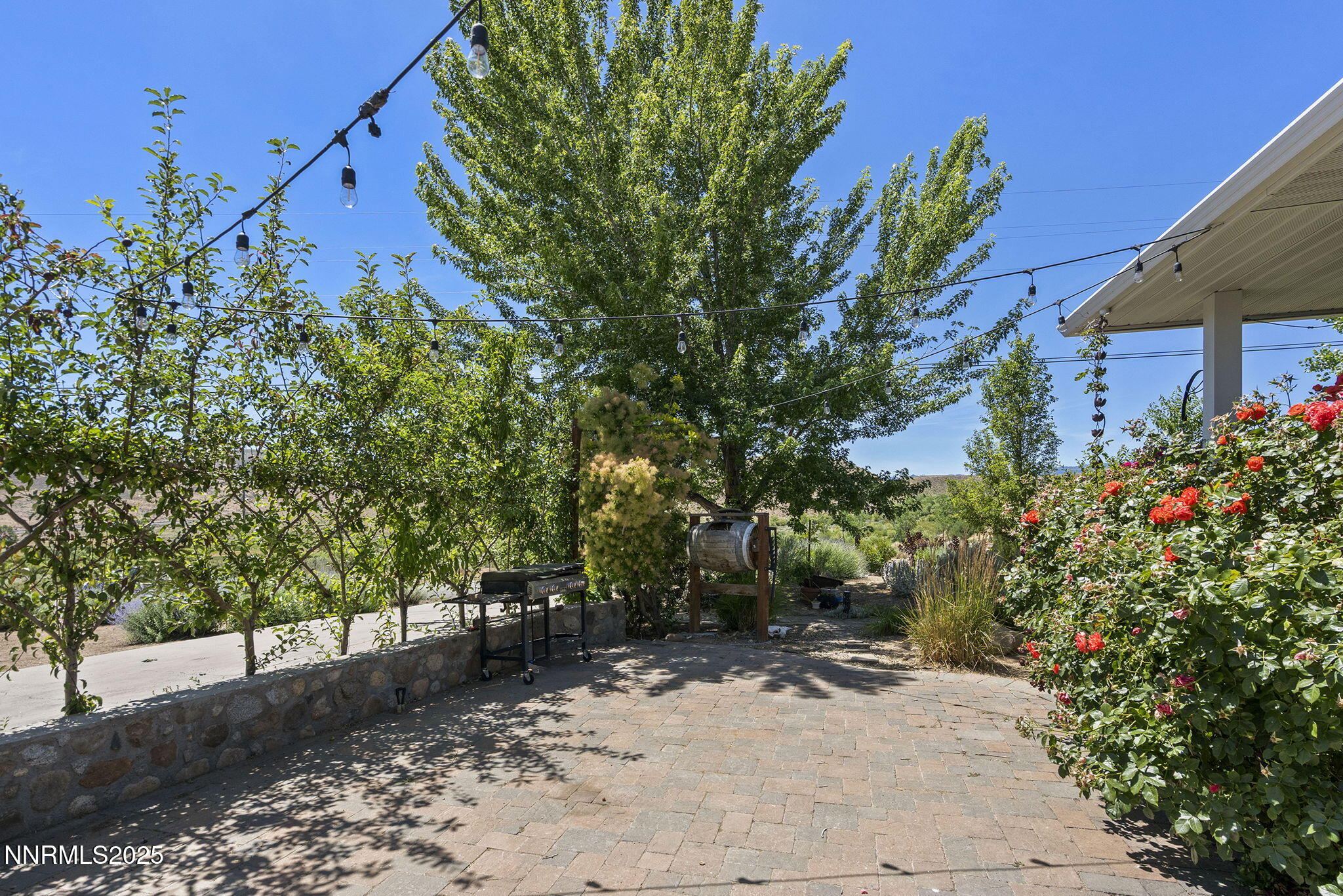 47-web-or-mls-_DSC1046