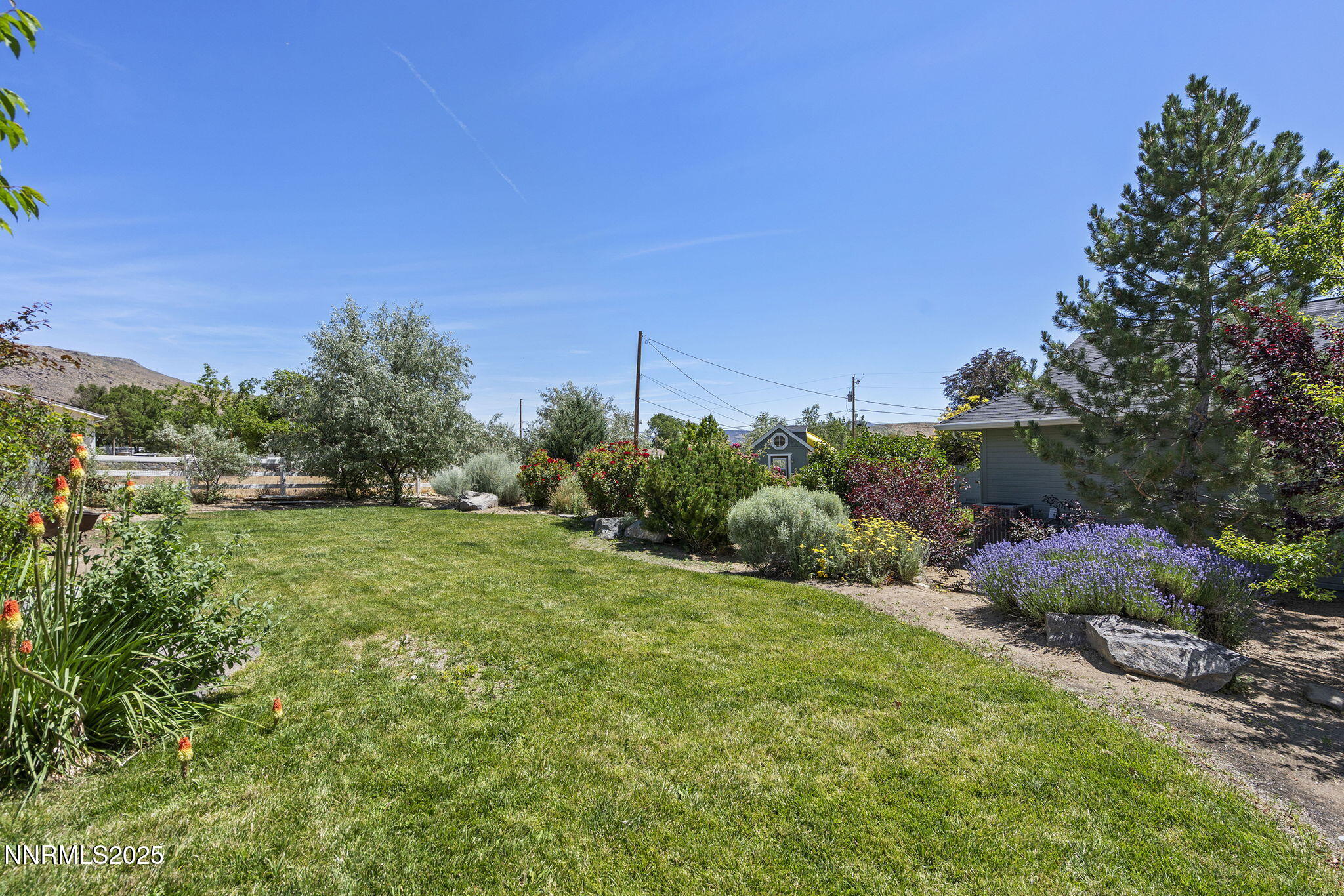 49-web-or-mls-_DSC0986