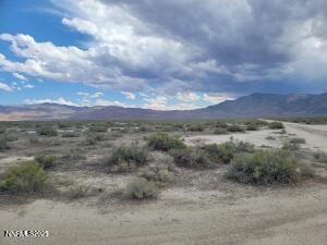 20250808011312423923000000