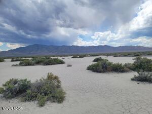 20250808011311536935000000